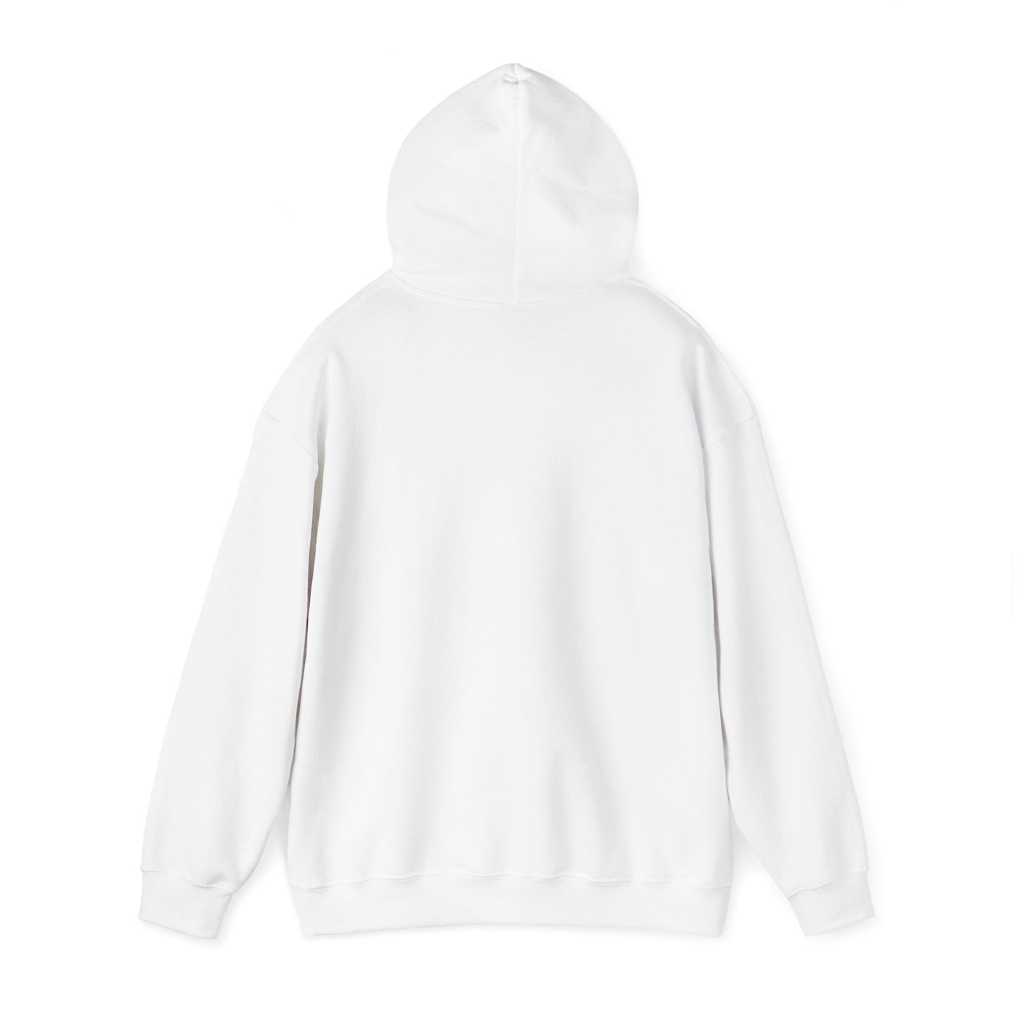 2024 SENTINELS HOODIE