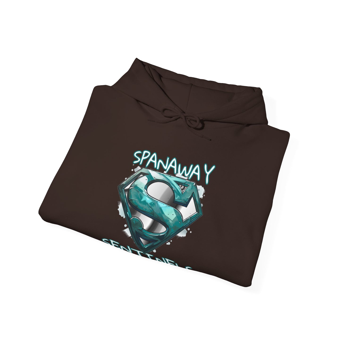 2024 SENTINELS HOODIE