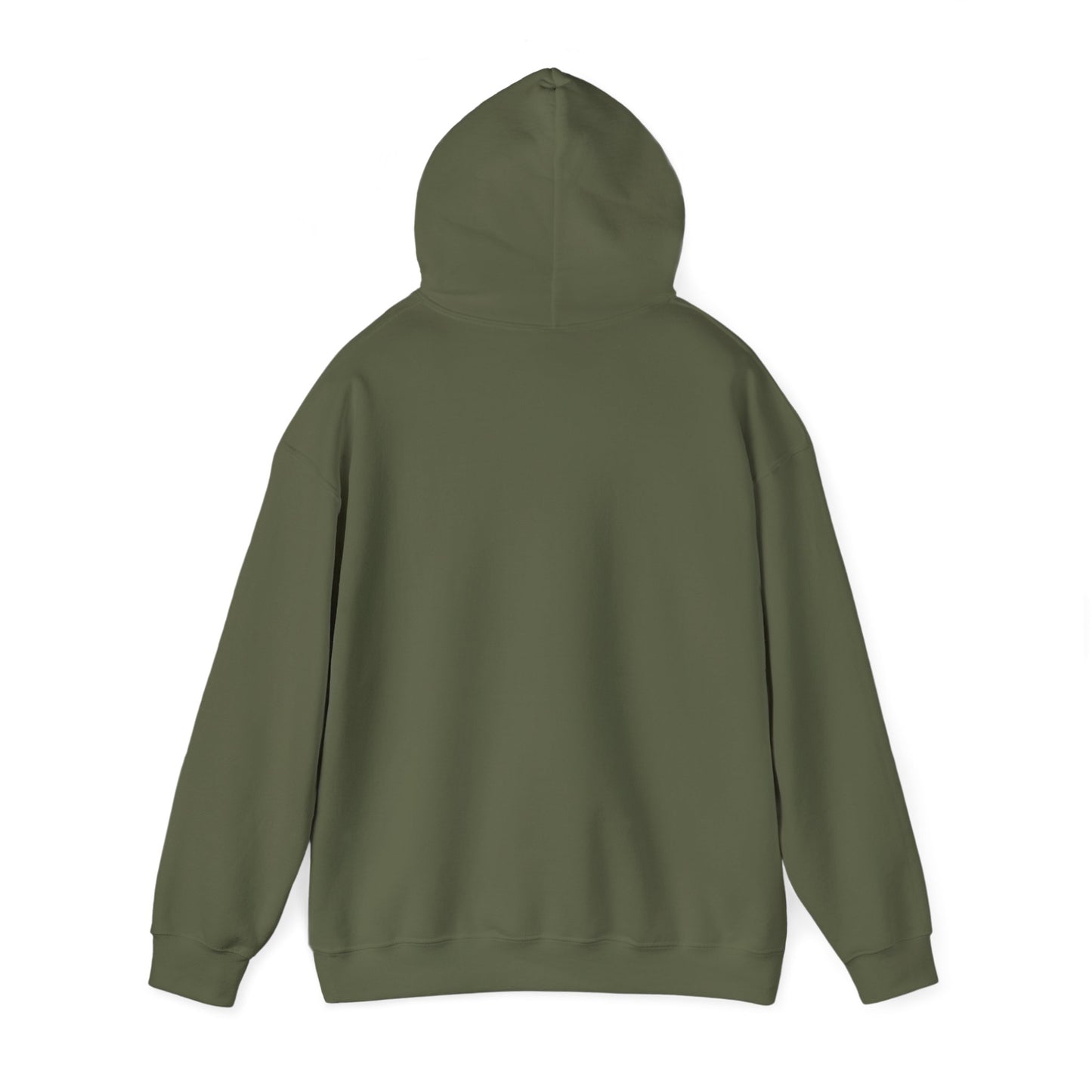 SENTINELS NOT LIKE US HOODIE