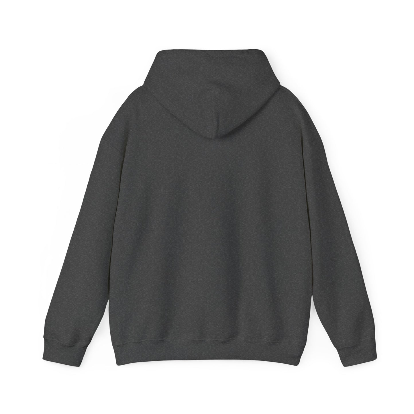 SENTINELS SWAY CITY HOODIE