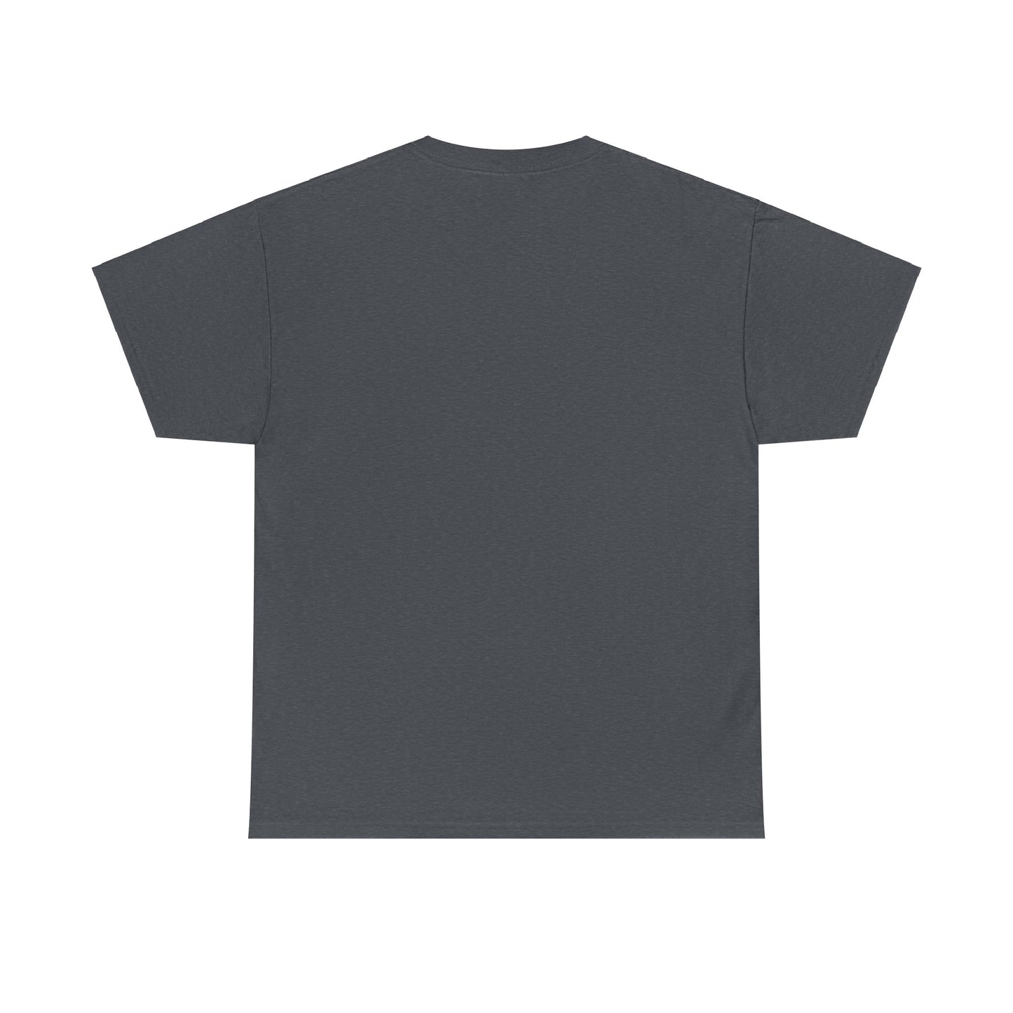 SENTINELS SWAY CITY T