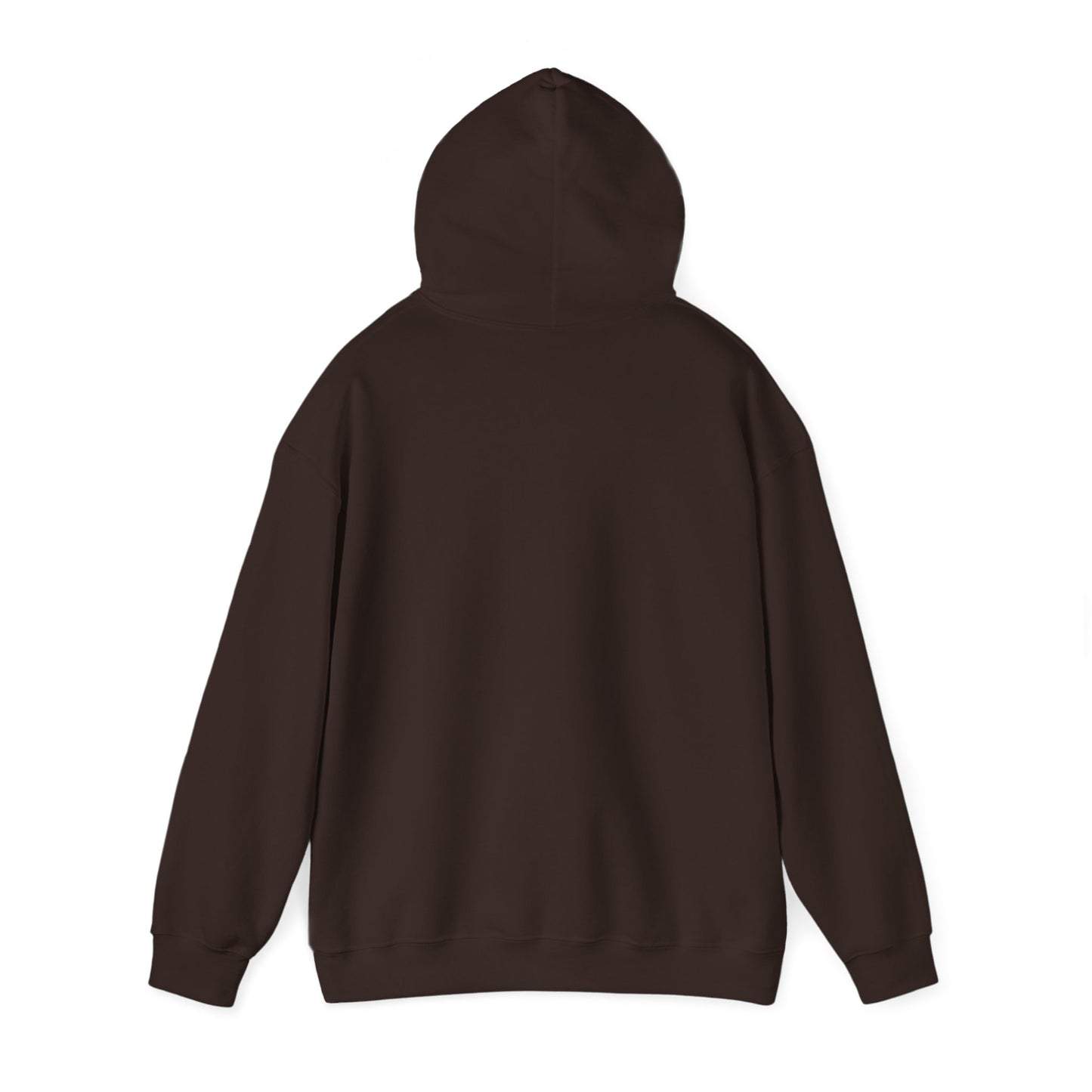 2024 SENTINELS HOODIE