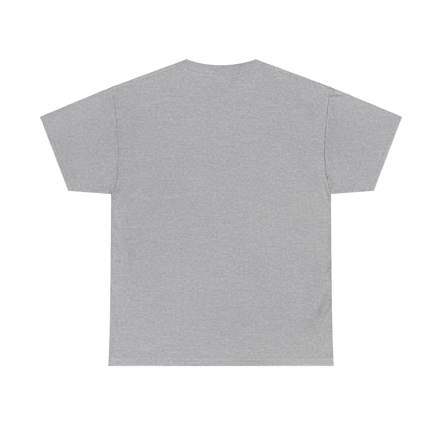 SENTINELS SWAY CITY T