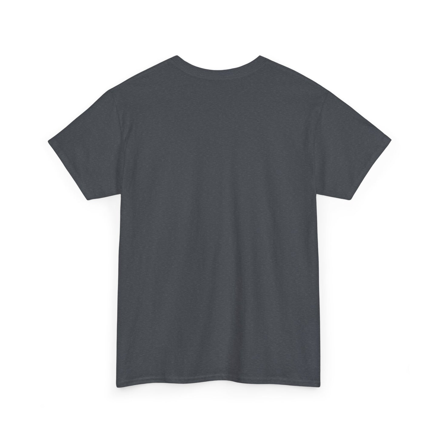 2025 SENTINELS T SHIRT
