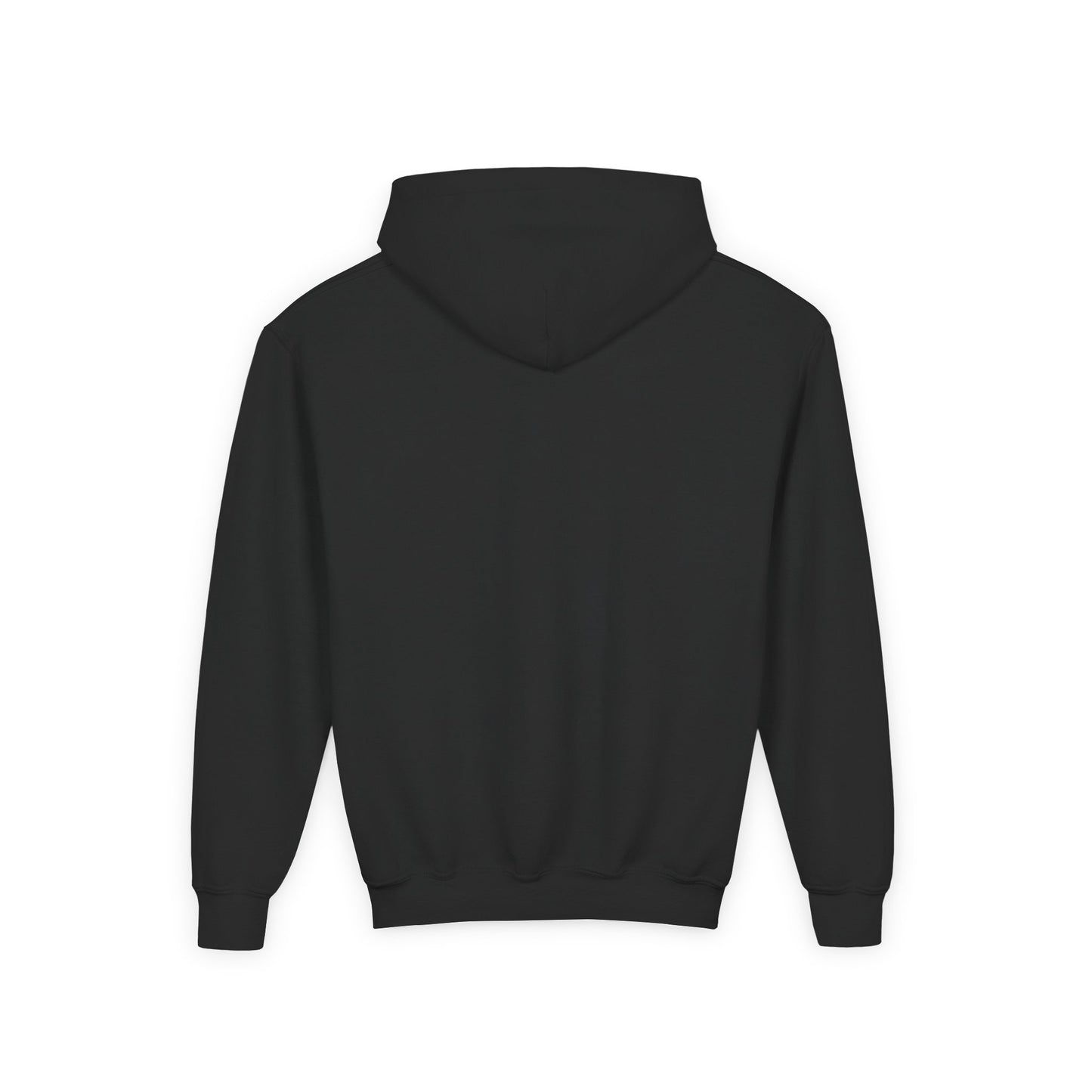 SENTINELS THEY NOT LIKE US YOUTH HOODIE