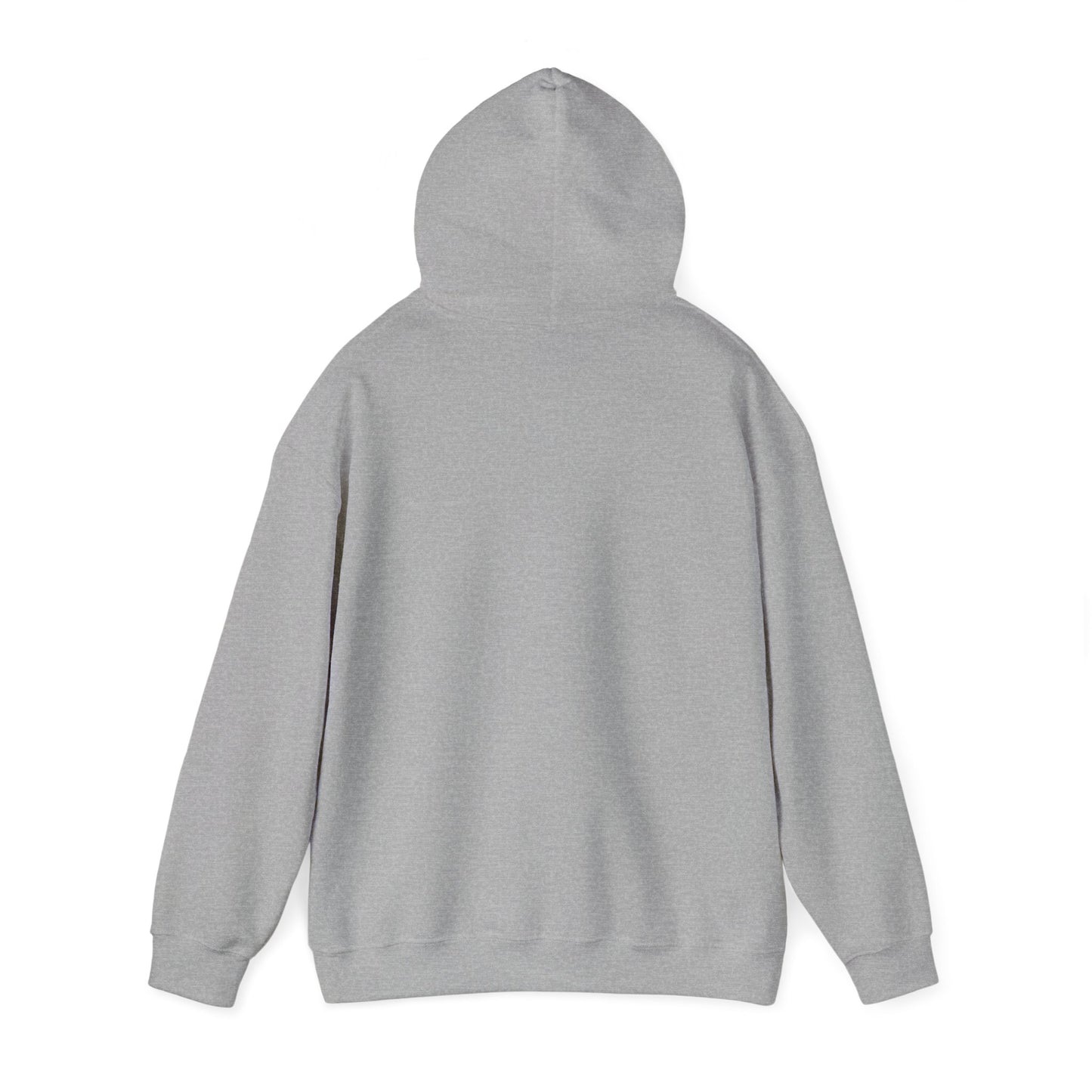 SENTINELS SWAY CITY HOODIE