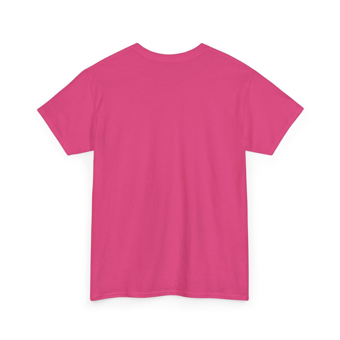 SENTINELS SWAY CITY T