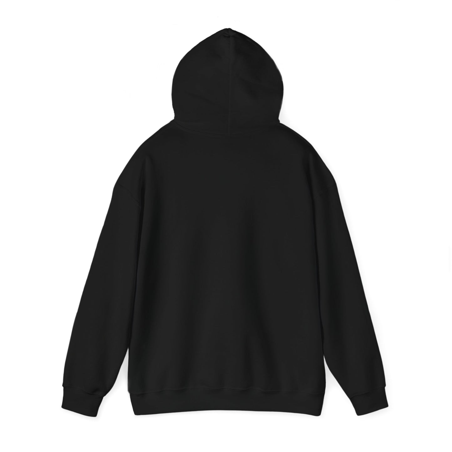 SENTINELS SWAY CITY HOODIE