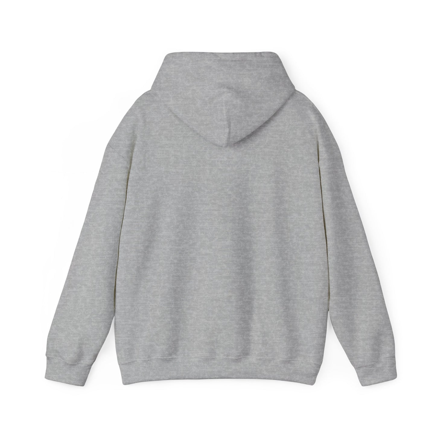 SENTINELS NOT LIKE US HOODIE