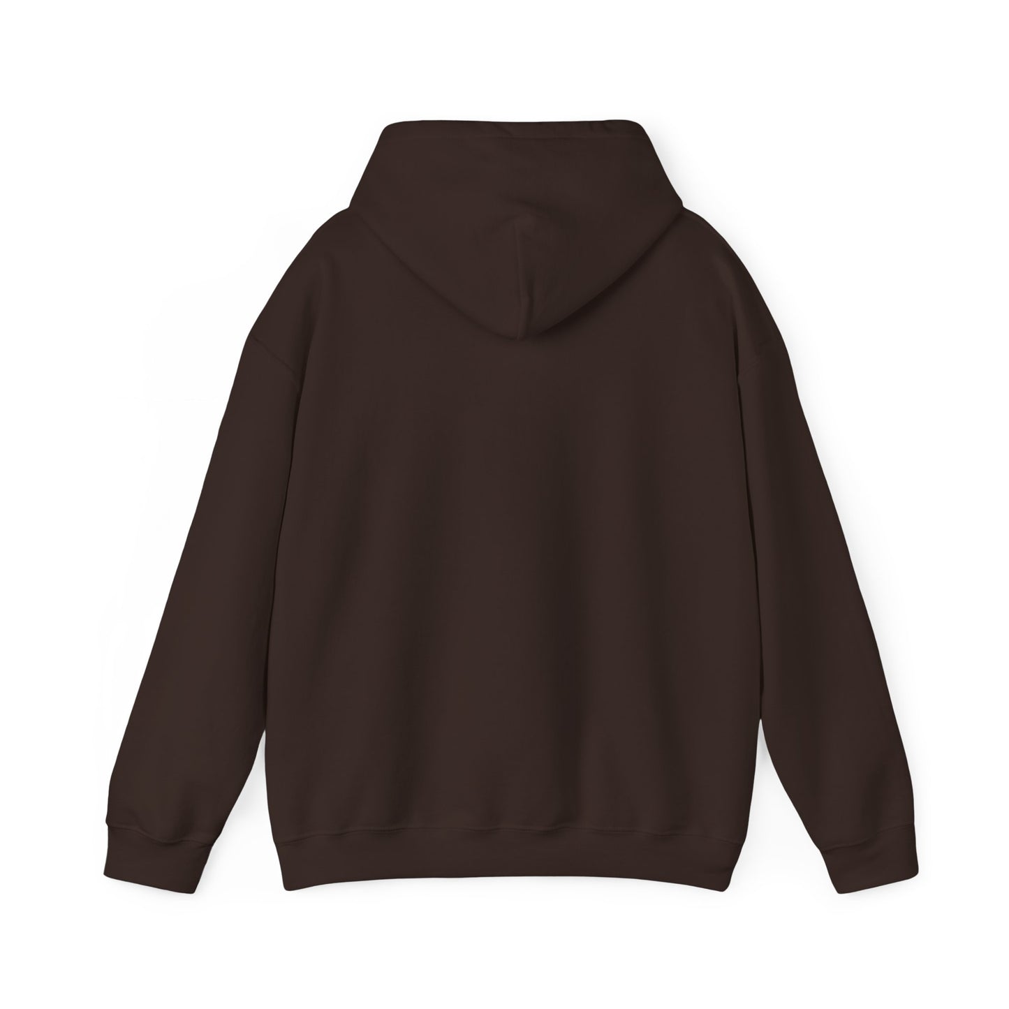 SENTINELS SWAY CITY HOODIE