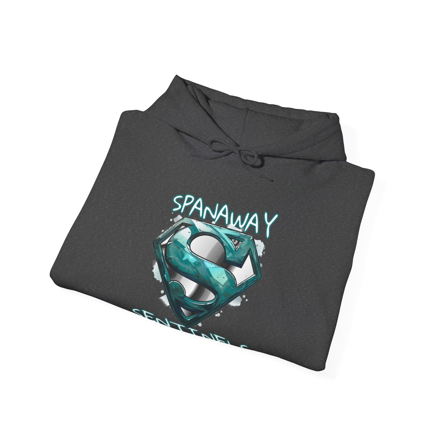 2024 SENTINELS HOODIE