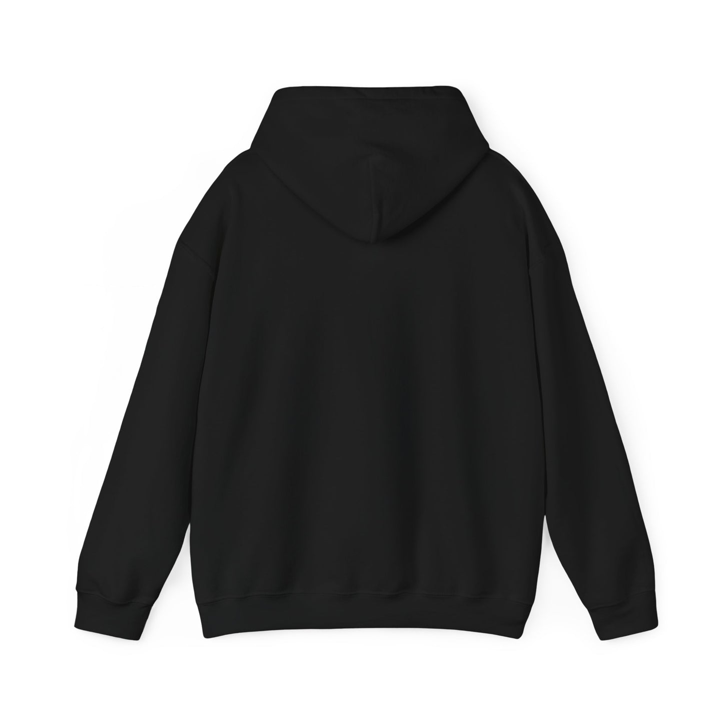 SENTINELS SWAY CITY HOODIE