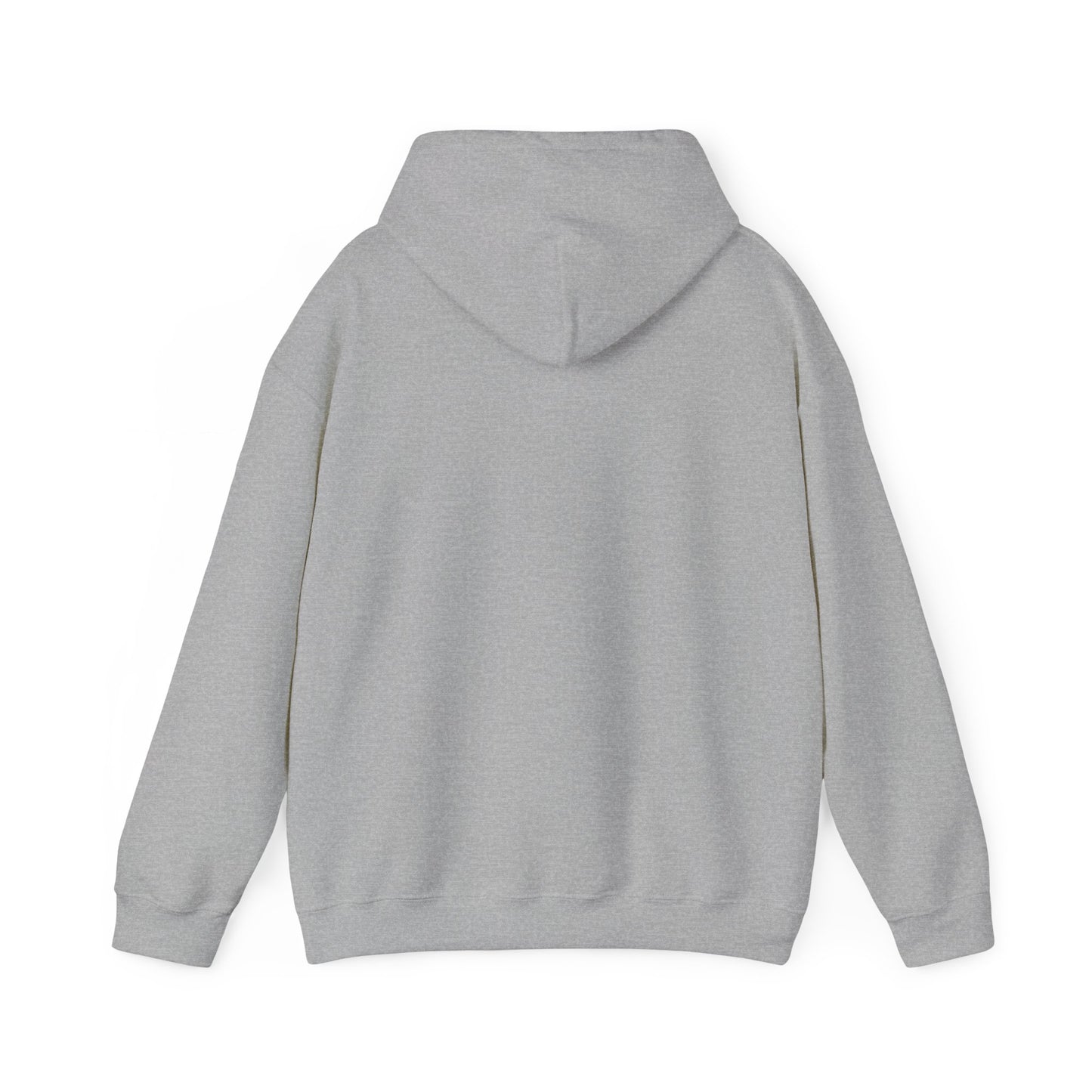 SENTINELS SWAY CITY HOODIE