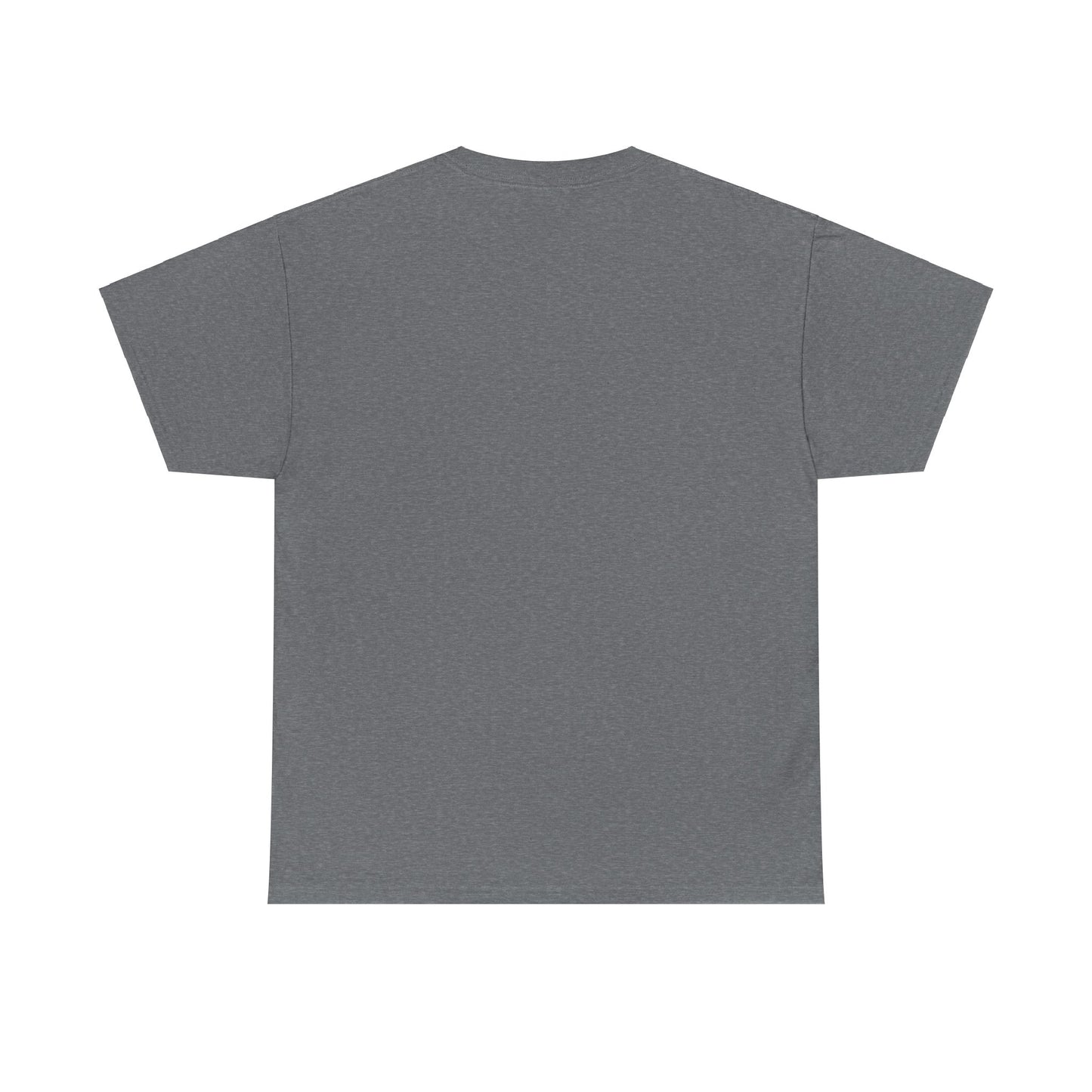 SENTINELS SWAY CITY T