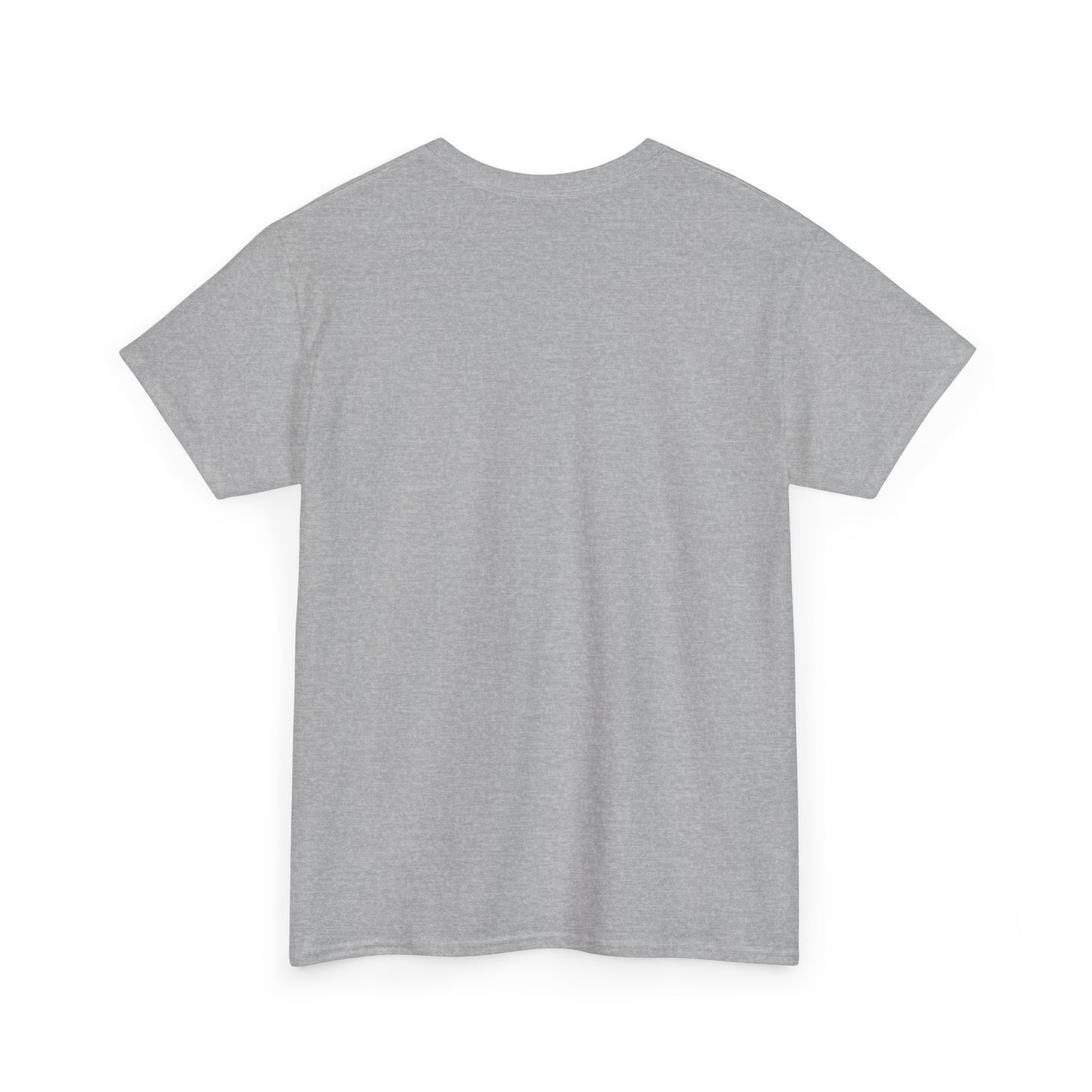 SENTINELS SWAY CITY T
