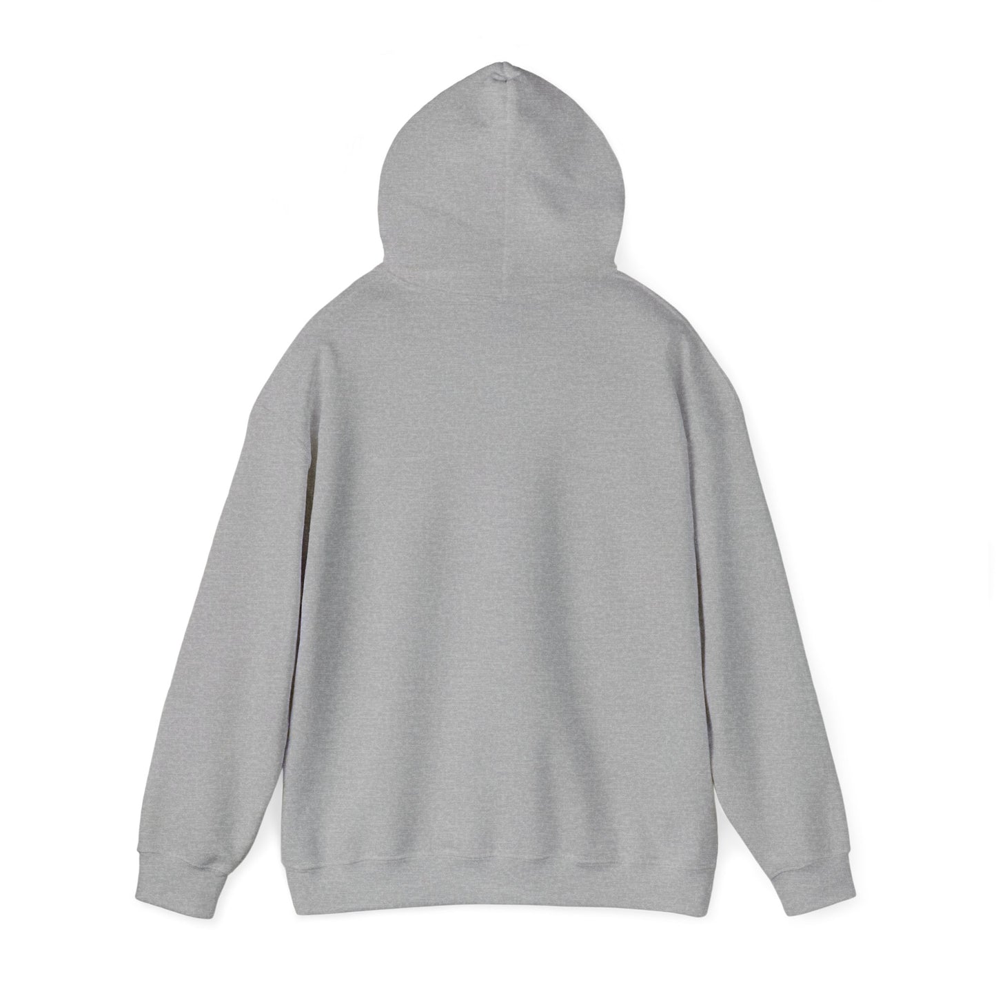 2024 SENTINELS HOODIE