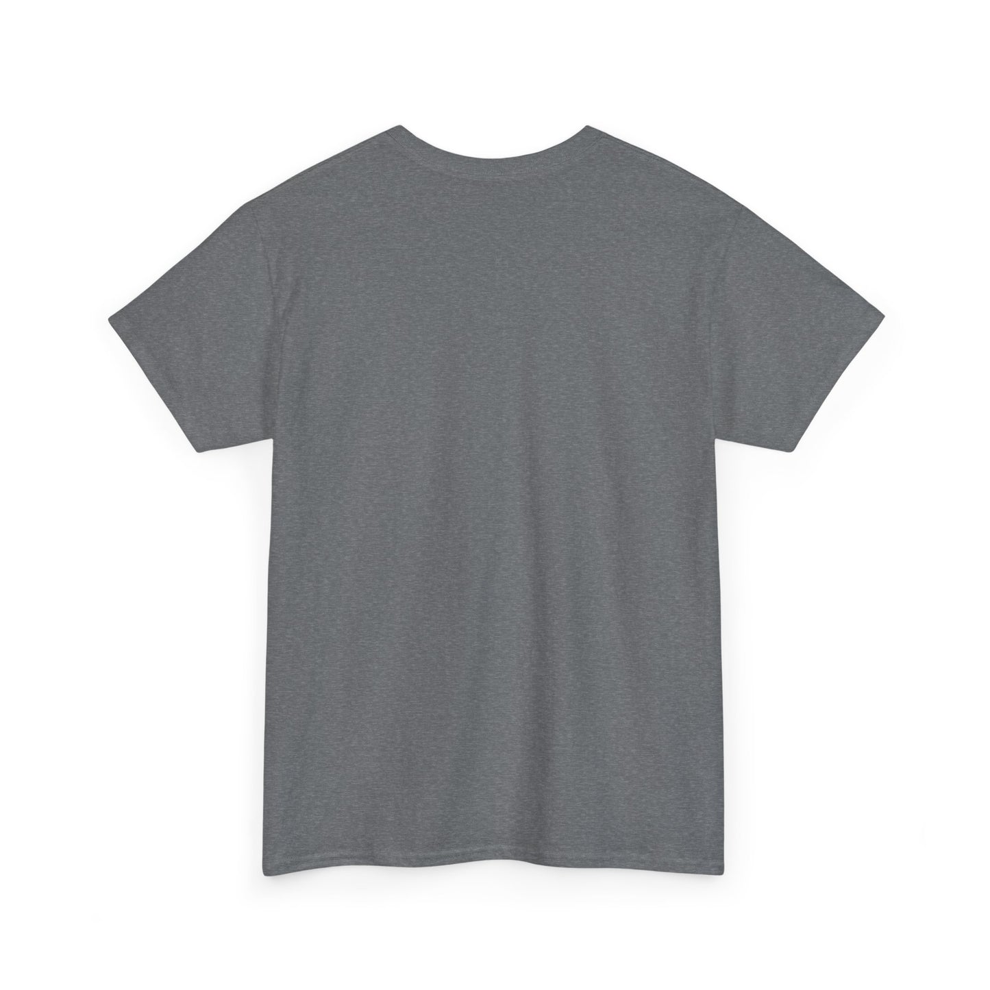 SENTINELS SWAY CITY T