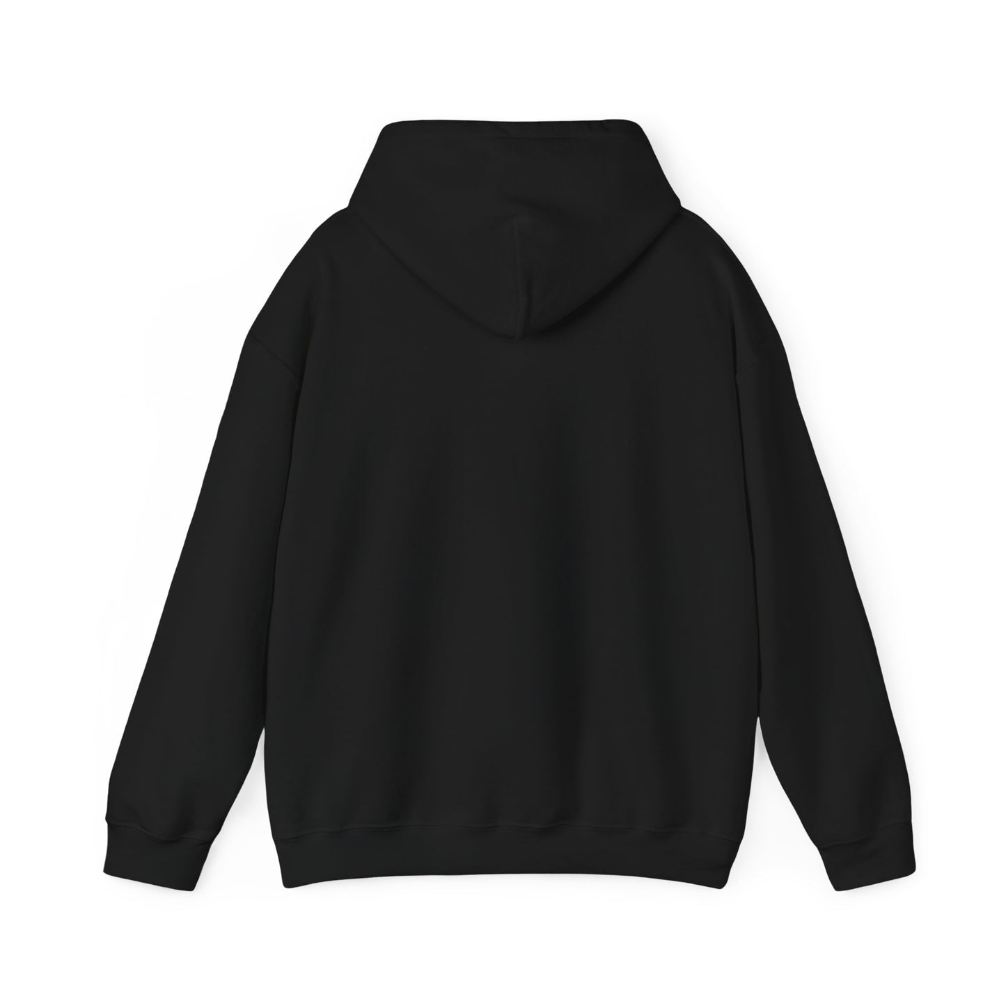 2024 SENTINELS HOODIE
