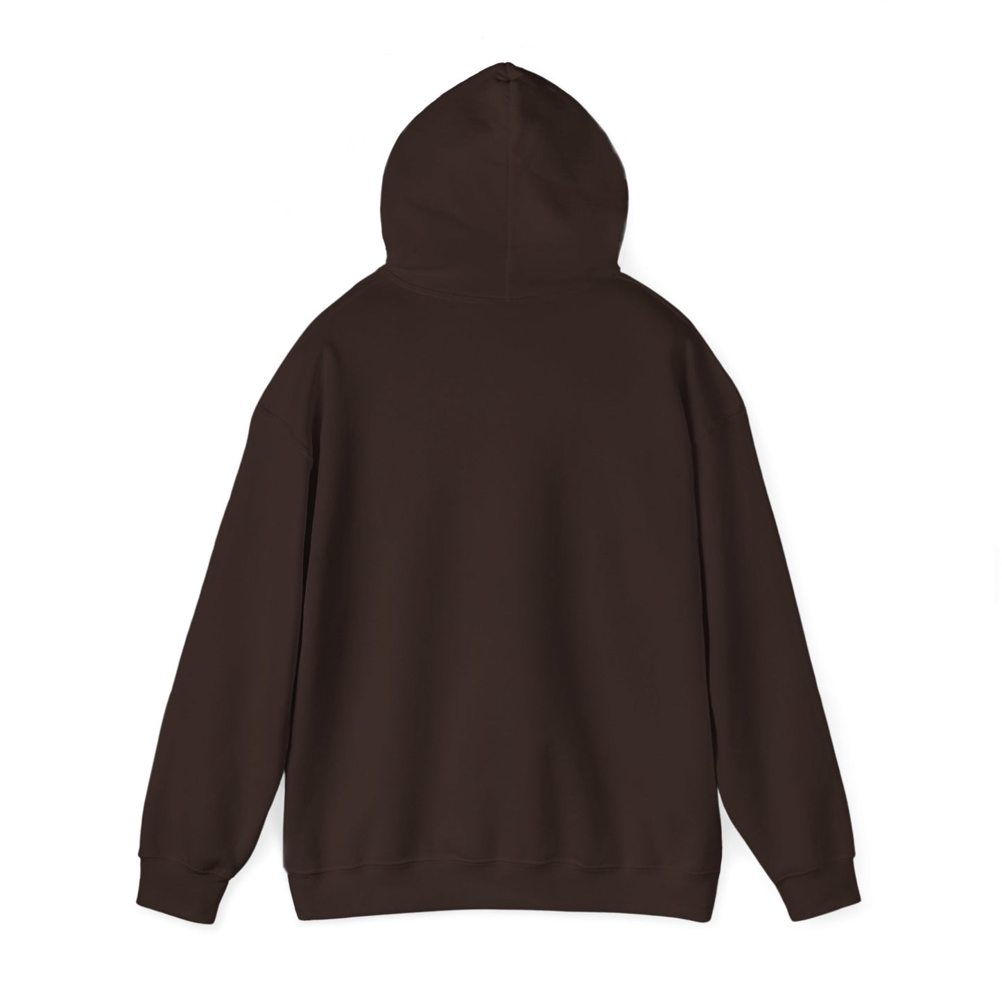 SENTINELS NOT LIKE US HOODIE
