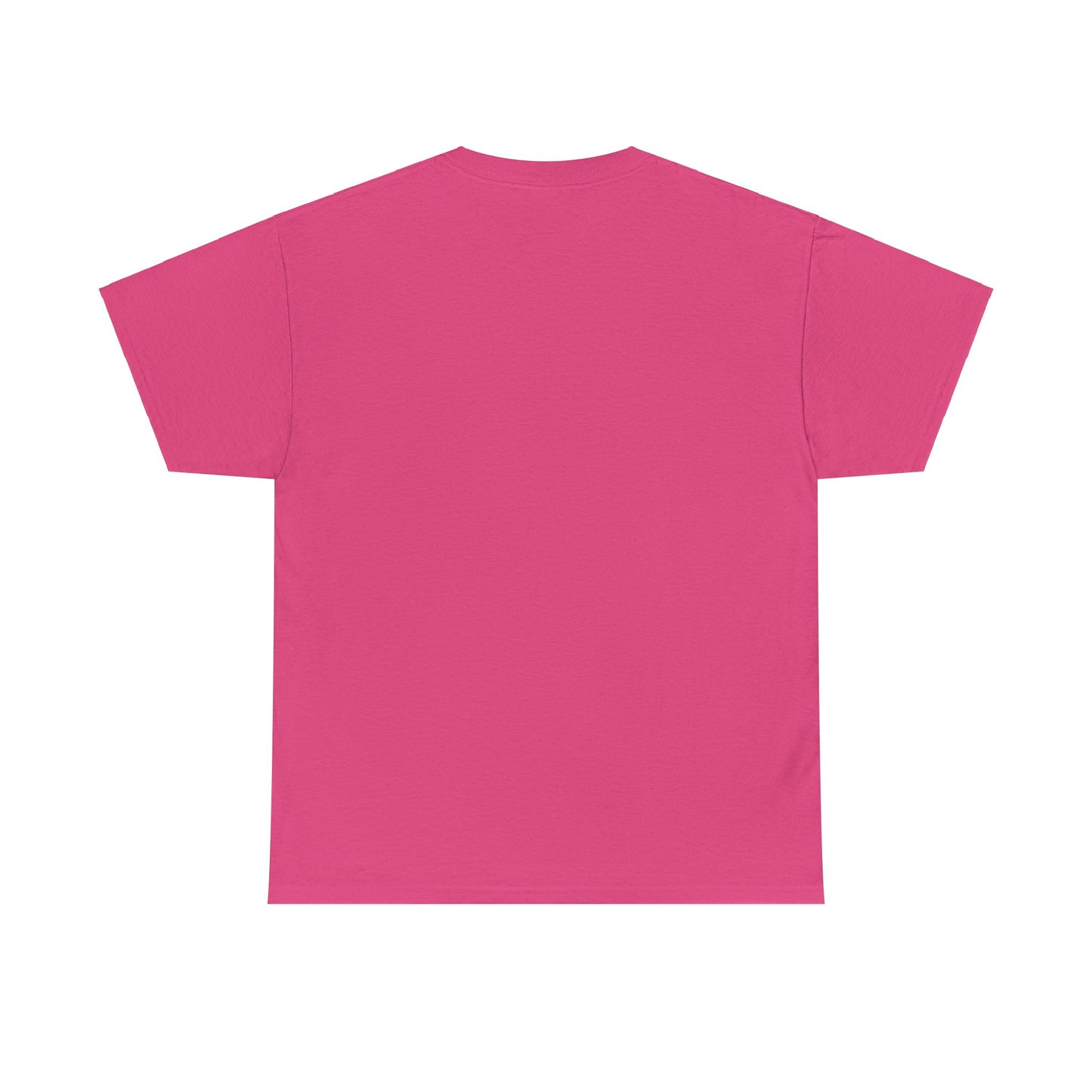 SENTINELS SWAY CITY T