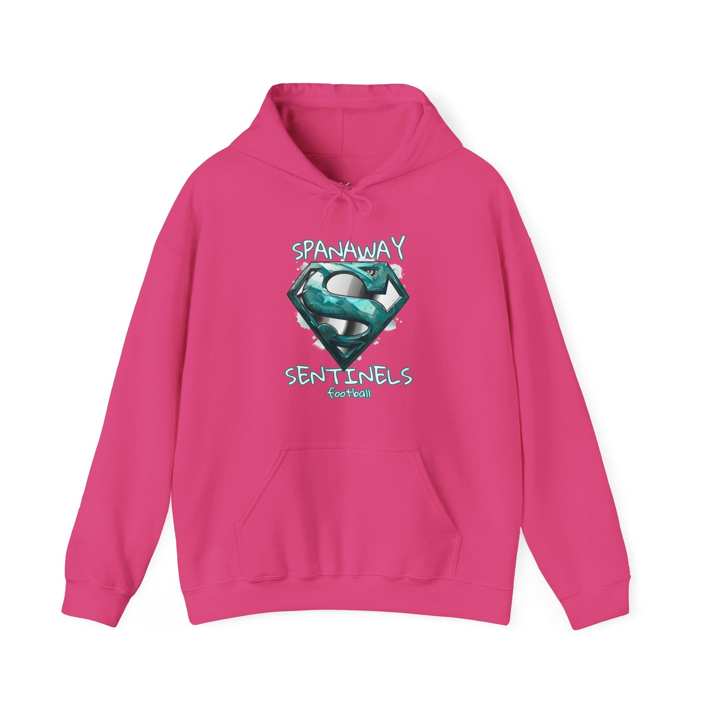 2024 SENTINELS HOODIE