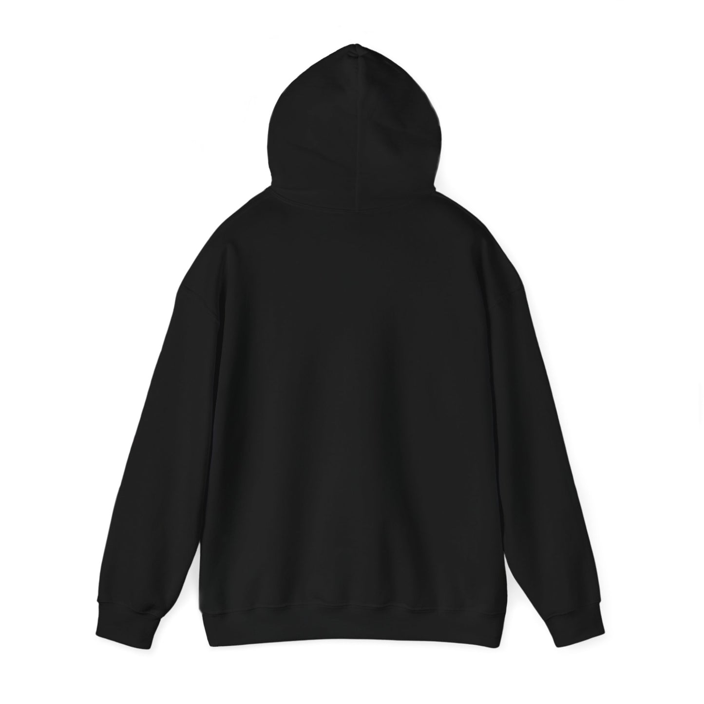 2024 SENTINELS HOODIE