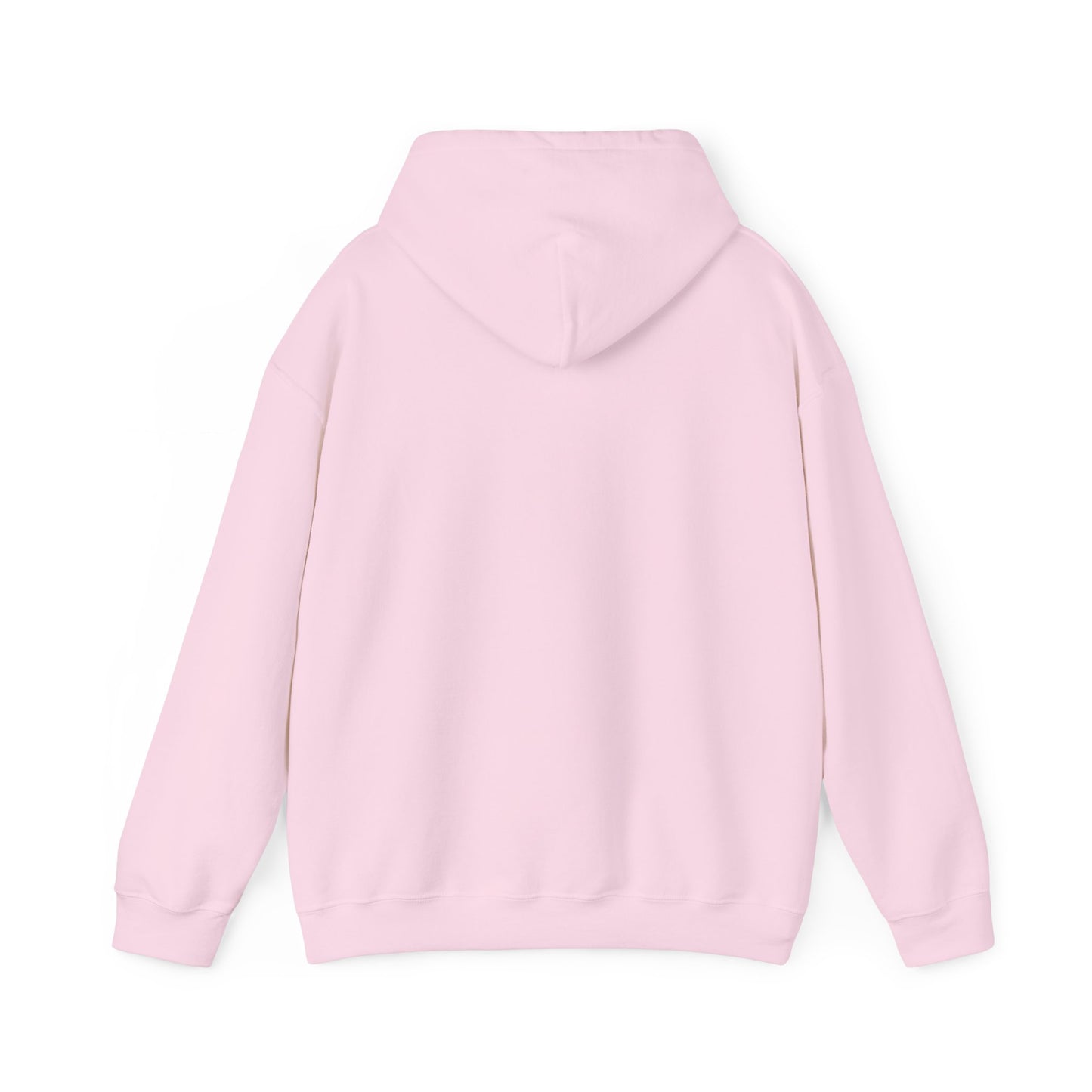 SENTINELS SWAY CITY HOODIE