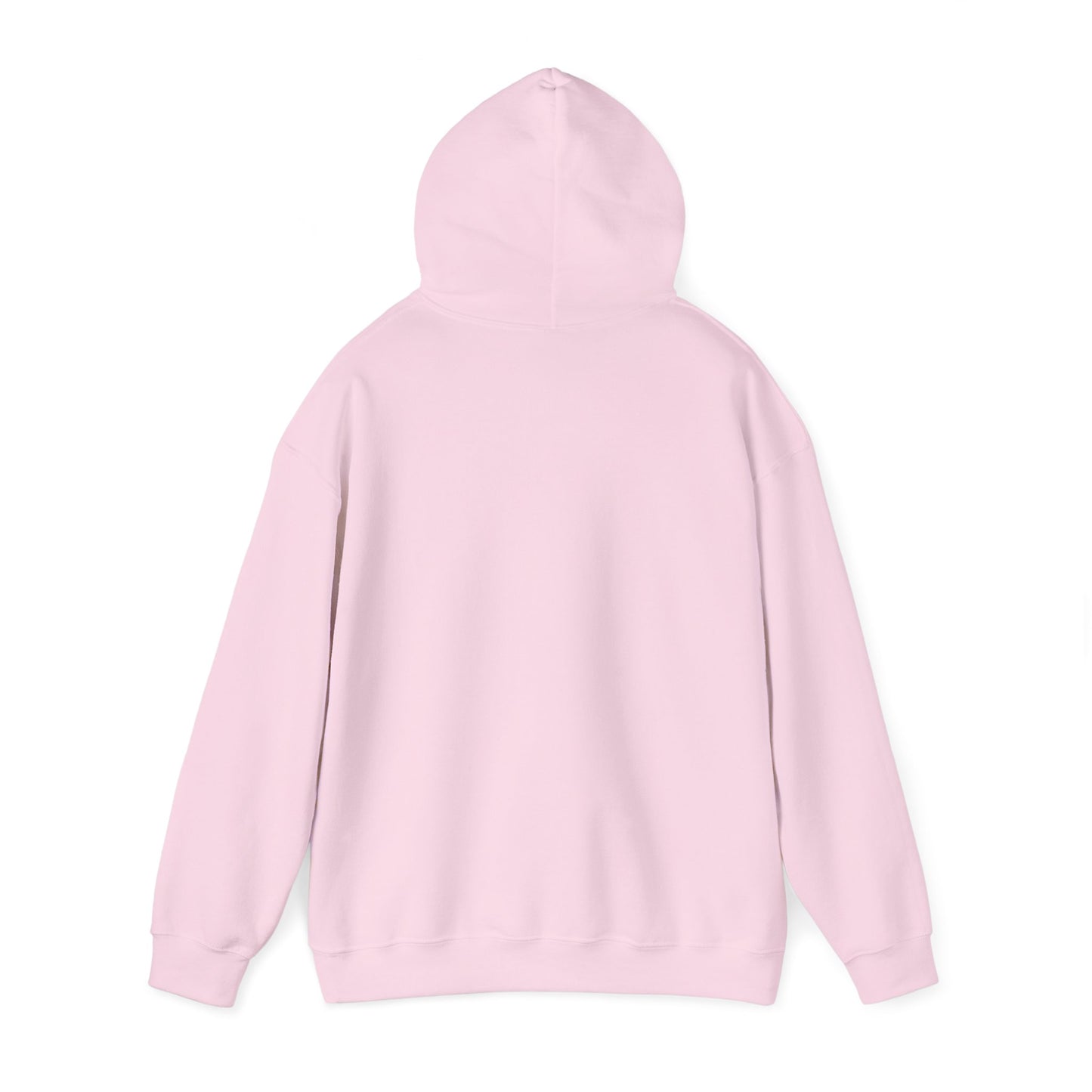 SENTINELS NOT LIKE US HOODIE