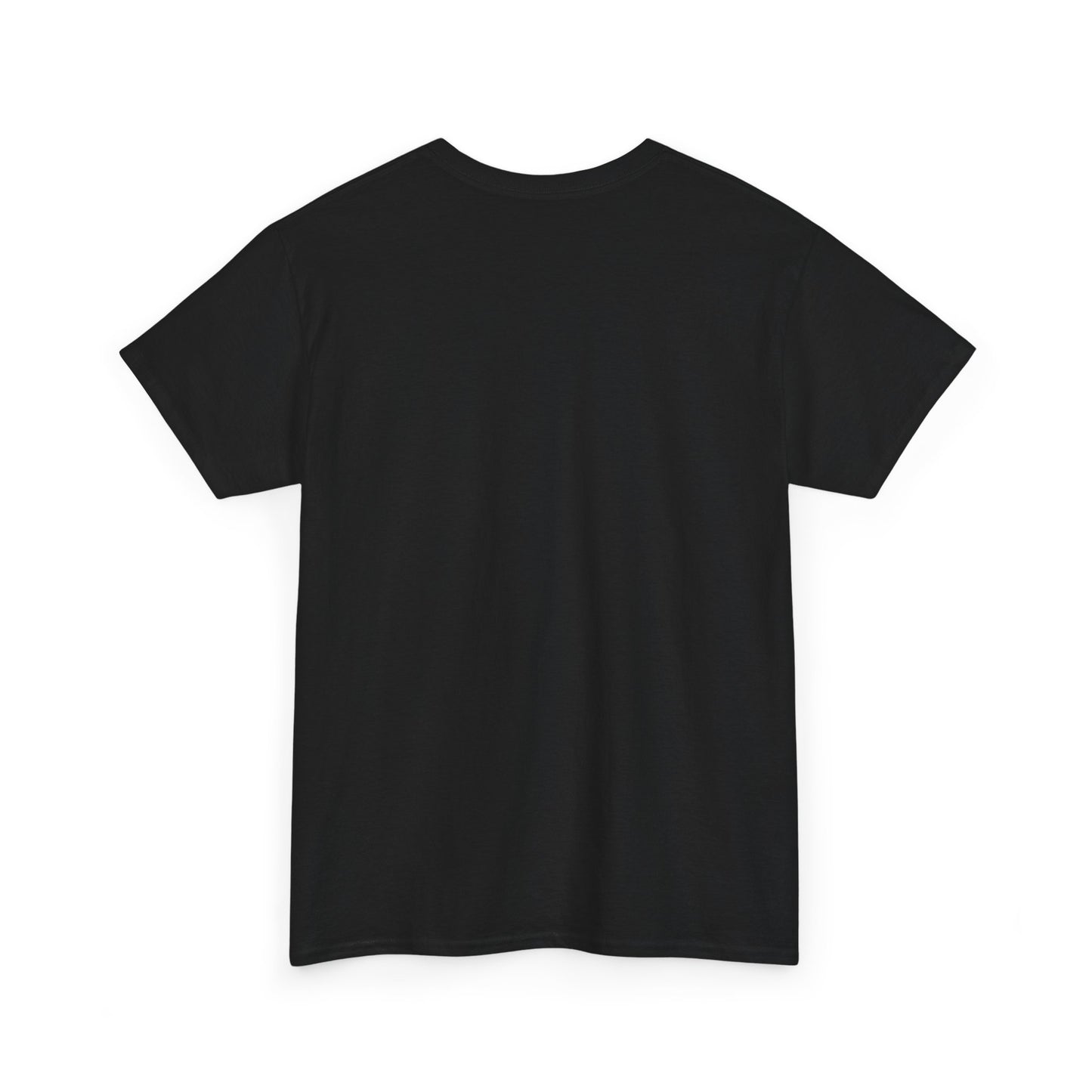 2025 SENTINELS T SHIRT