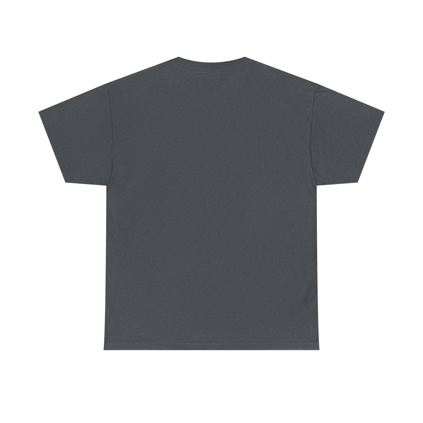2025 SENTINELS T SHIRT