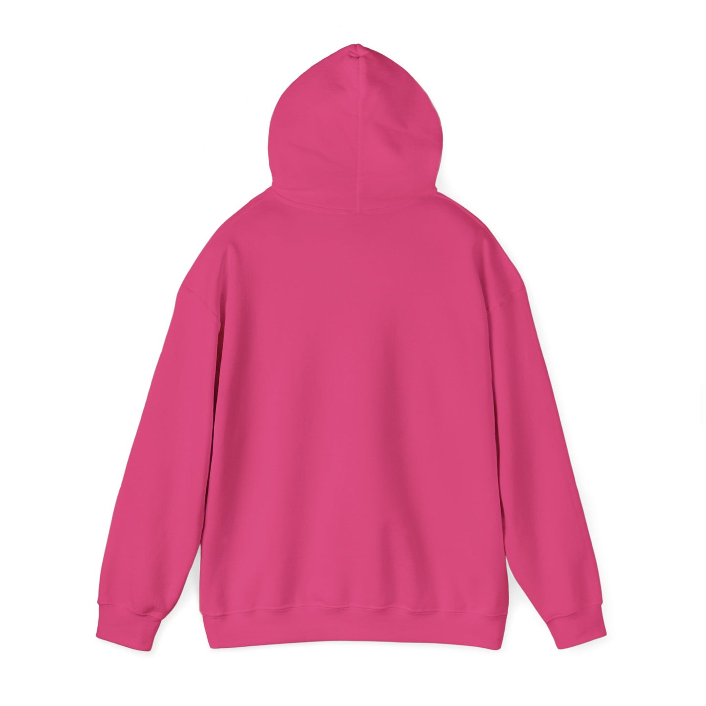 SENTINELS SWAY CITY HOODIE