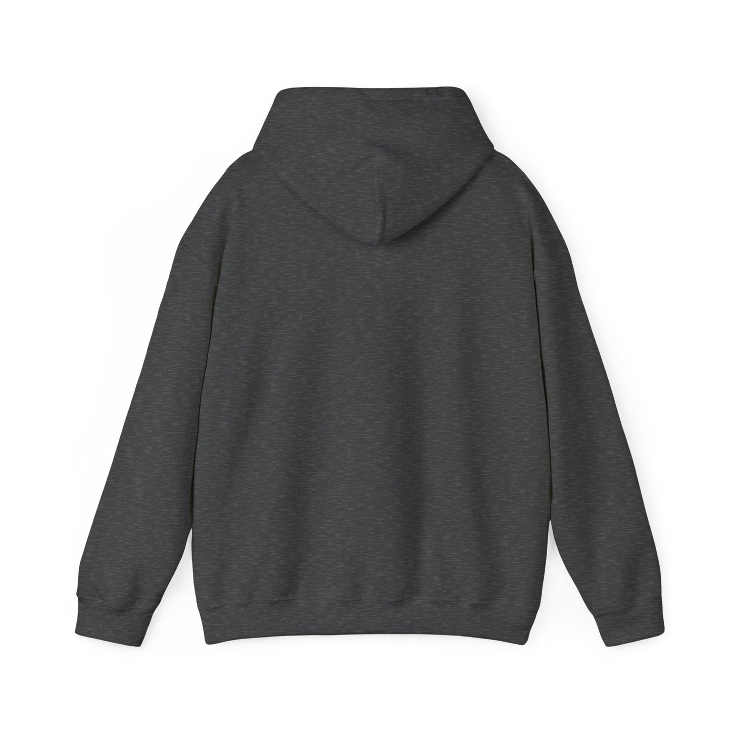SENTINELS NOT LIKE US HOODIE