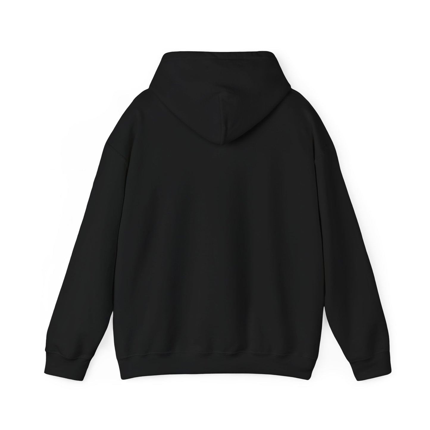SENTINELS NOT LIKE US HOODIE