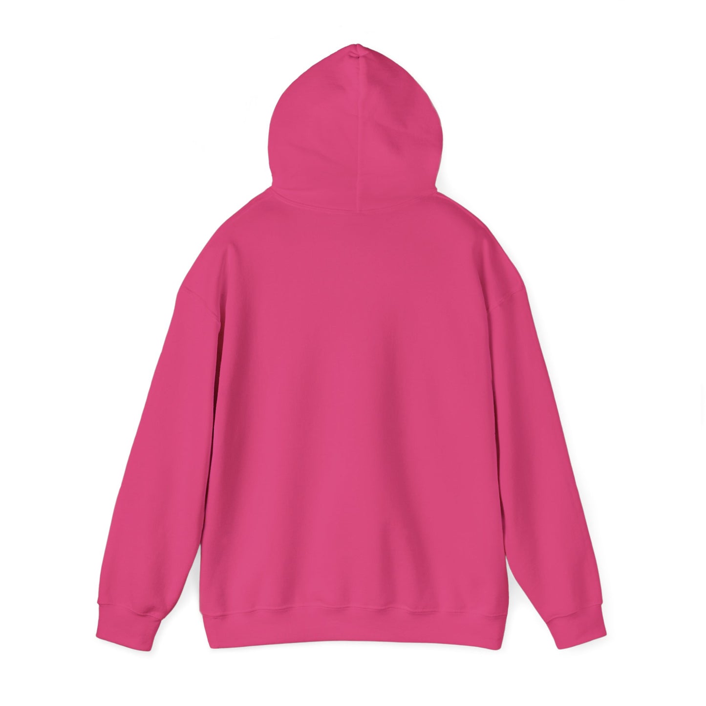 2024 SENTINELS HOODIE