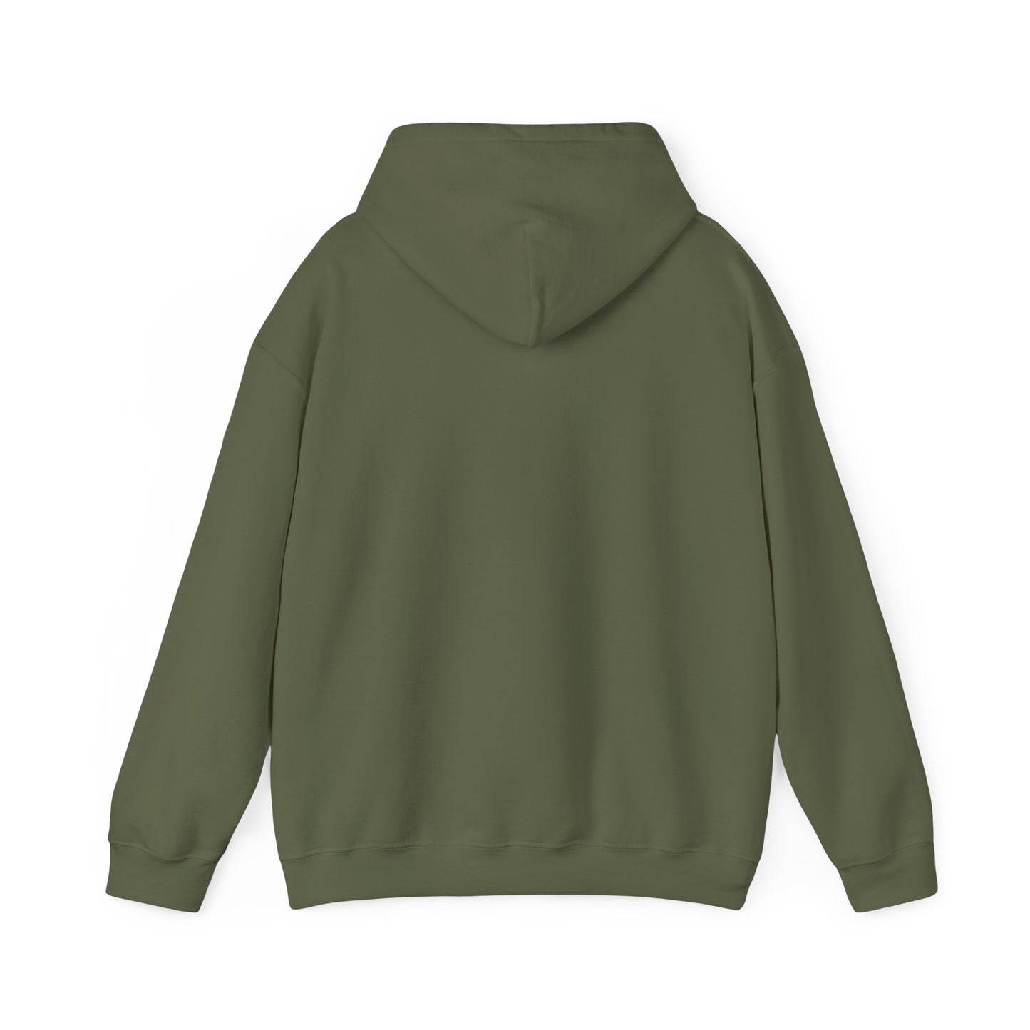 SENTINELS SWAY CITY HOODIE