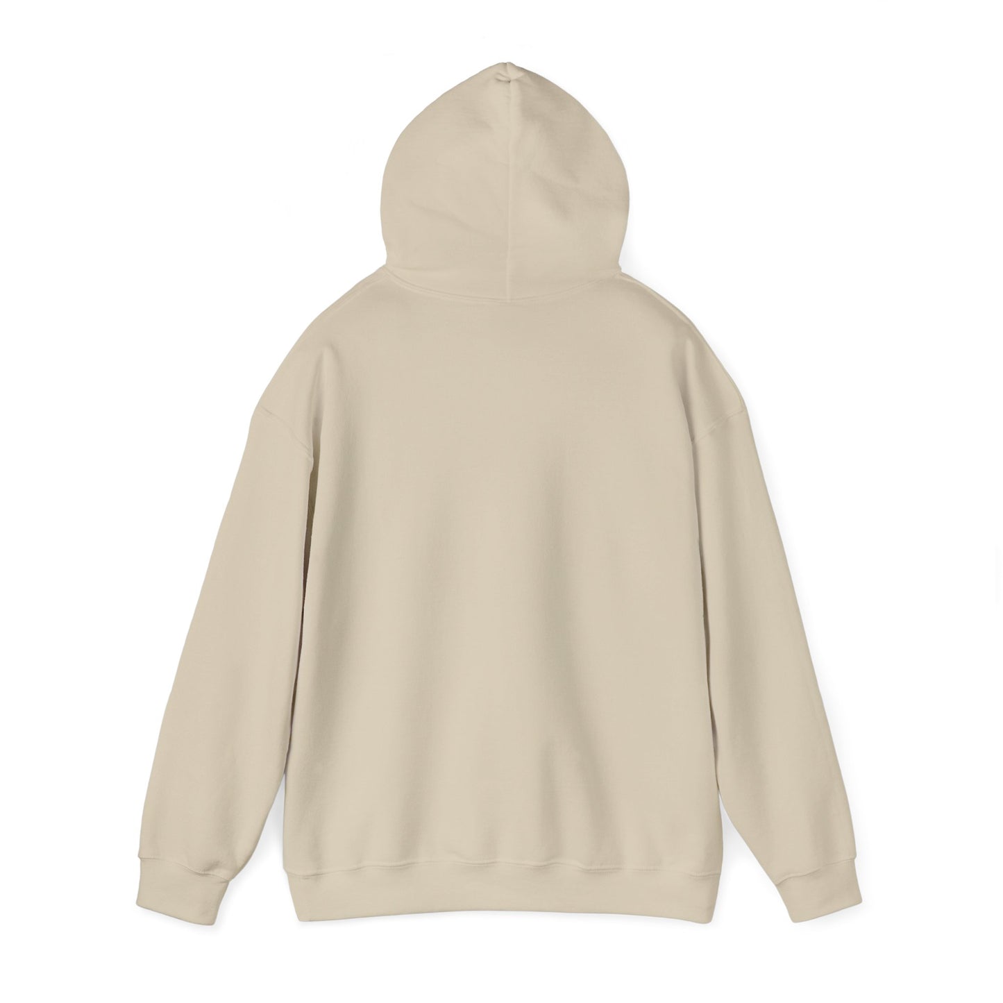 SENTINELS NOT LIKE US HOODIE