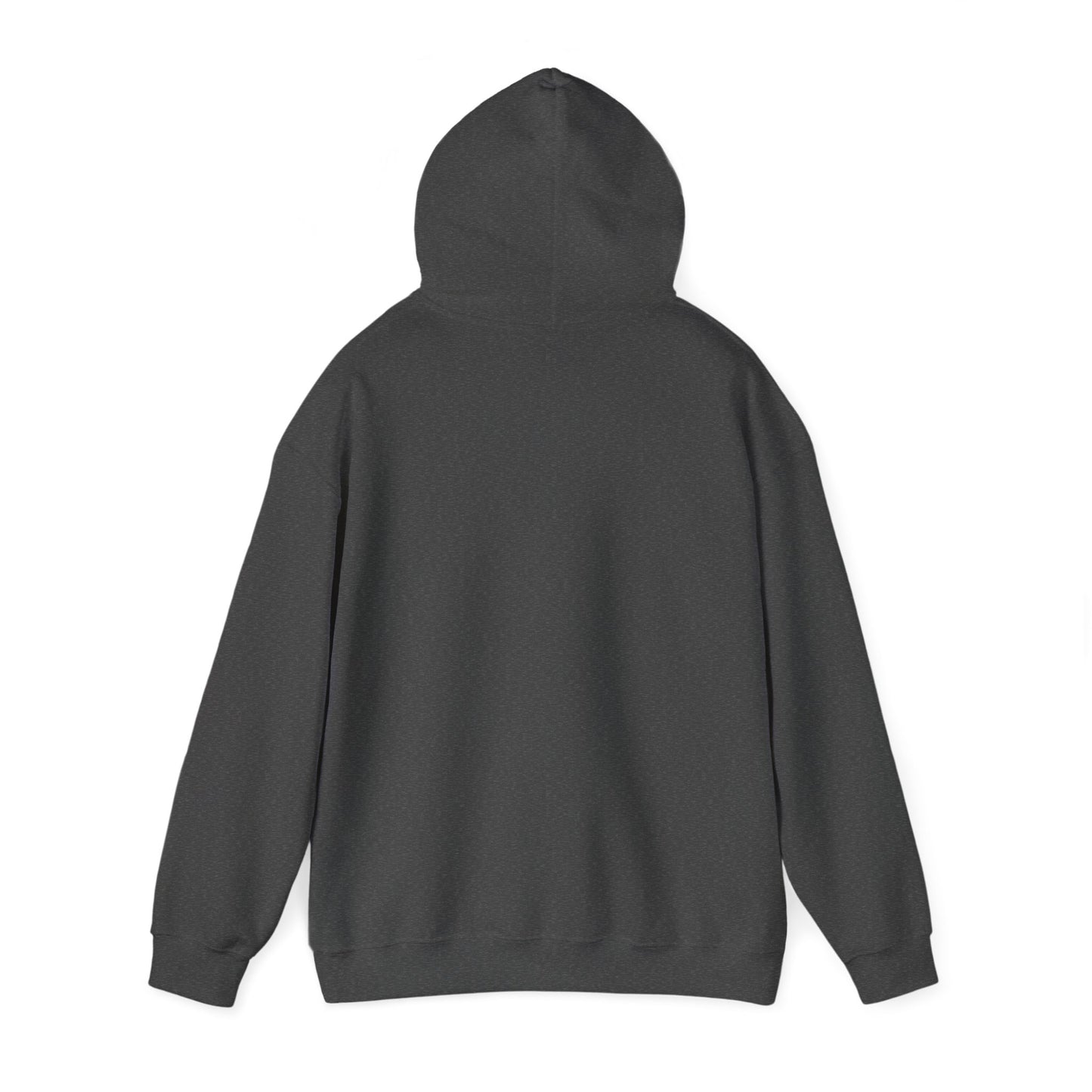 2024 SENTINELS HOODIE