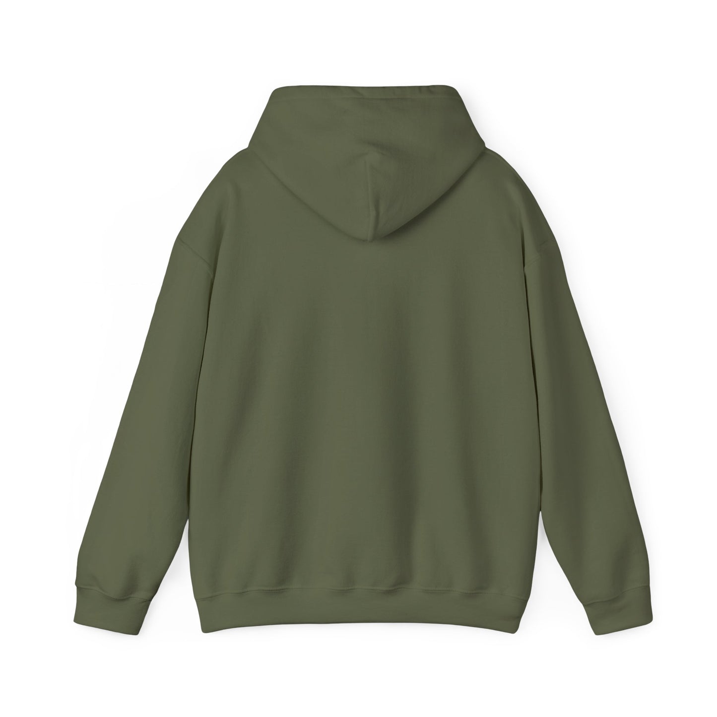 SENTINELS NOT LIKE US HOODIE