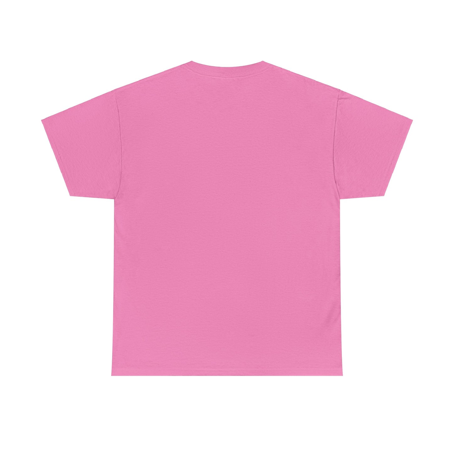 SENTINELS SWAY CITY T