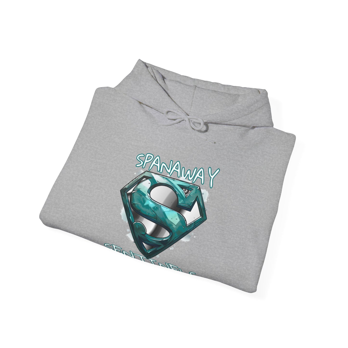 2024 SENTINELS HOODIE