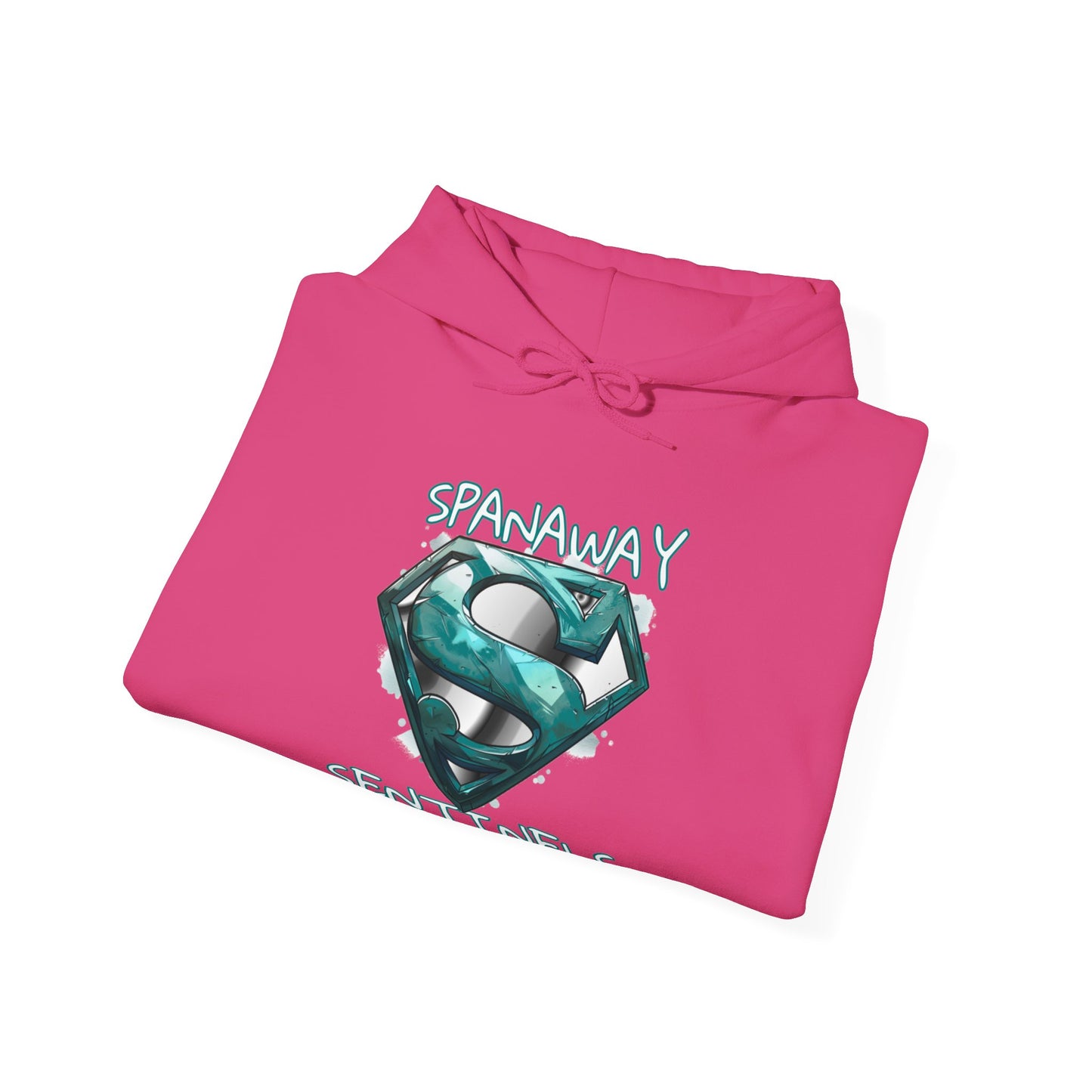 2024 SENTINELS HOODIE