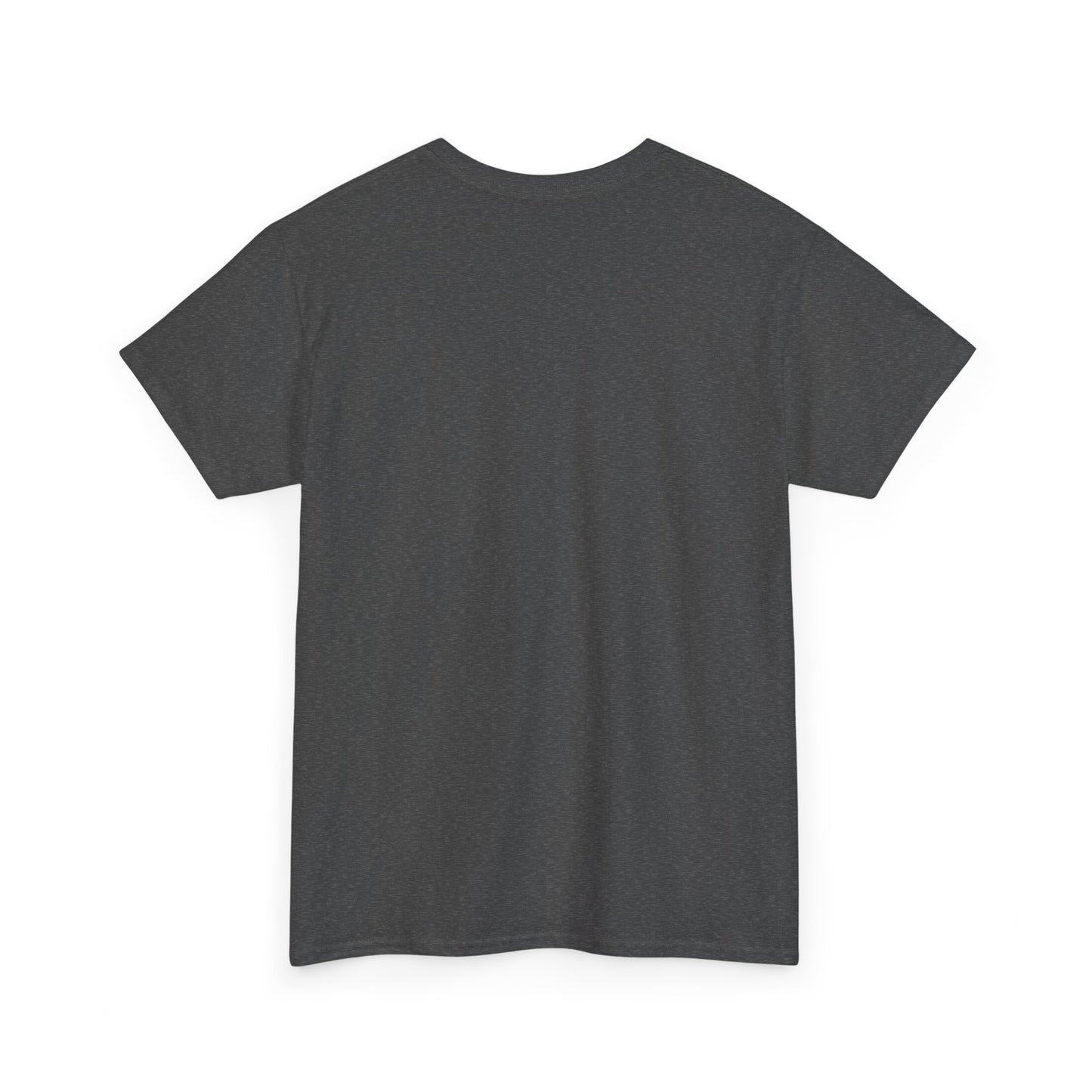 2025 SENTINELS T SHIRT