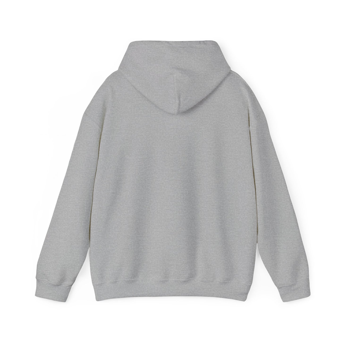 2024 SENTINELS HOODIE