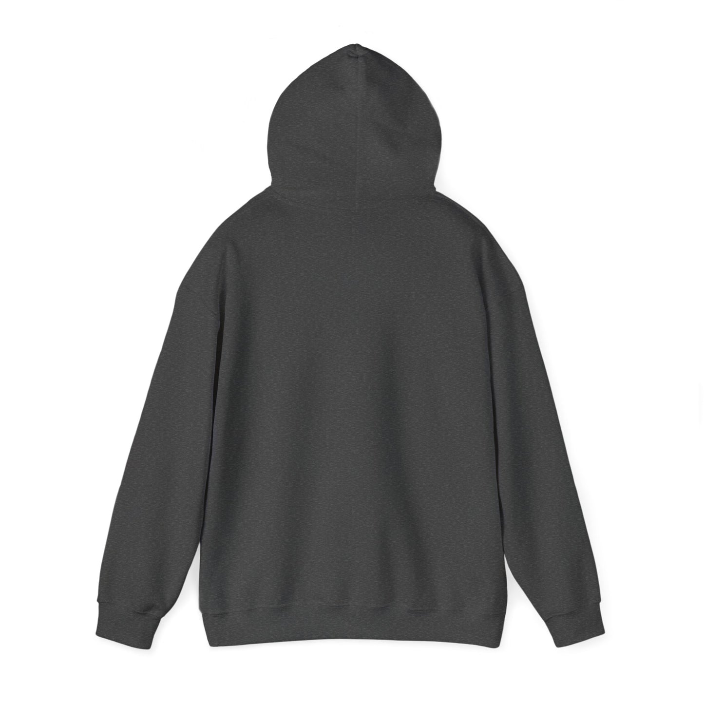 SENTINELS SWAY CITY HOODIE