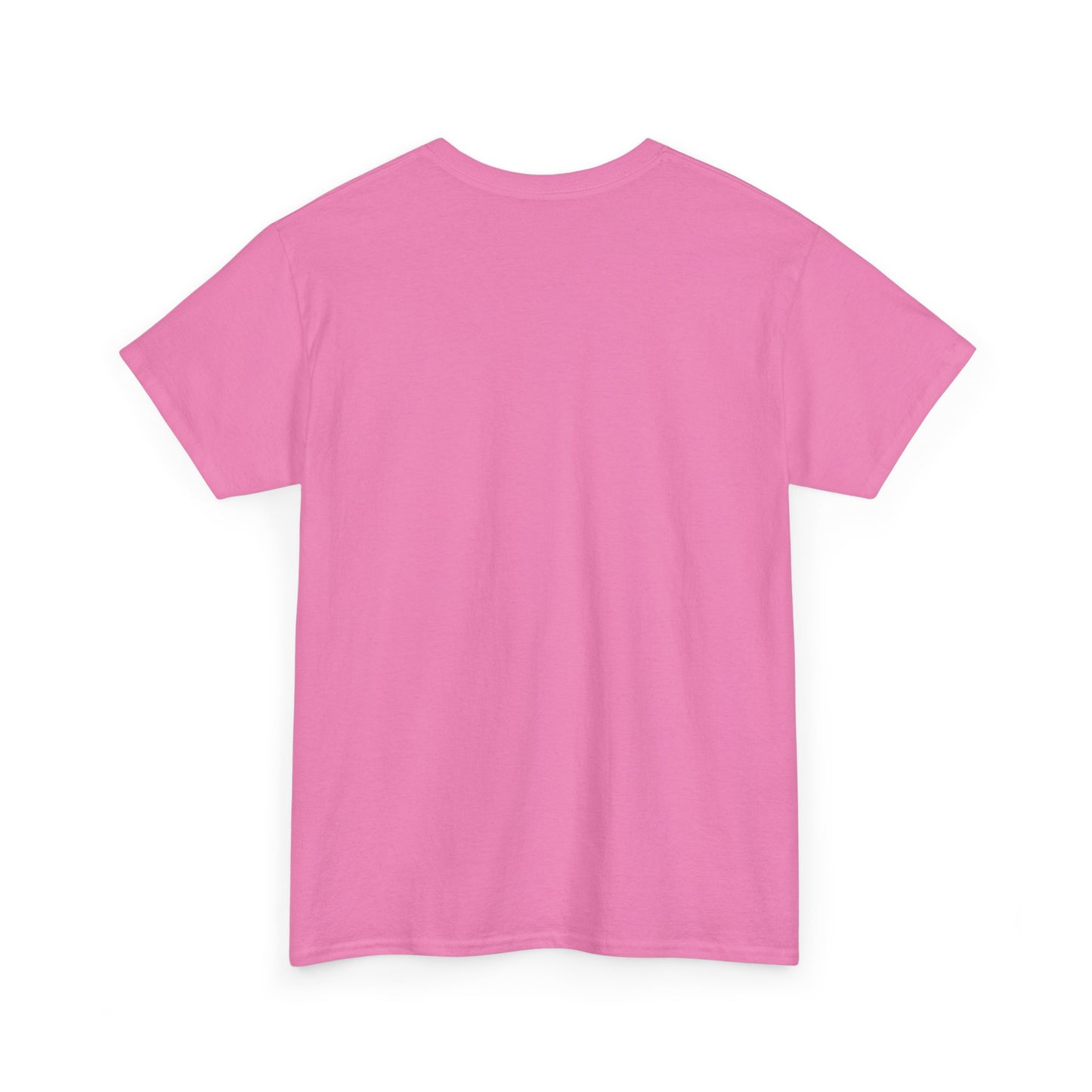 SENTINELS SWAY CITY T