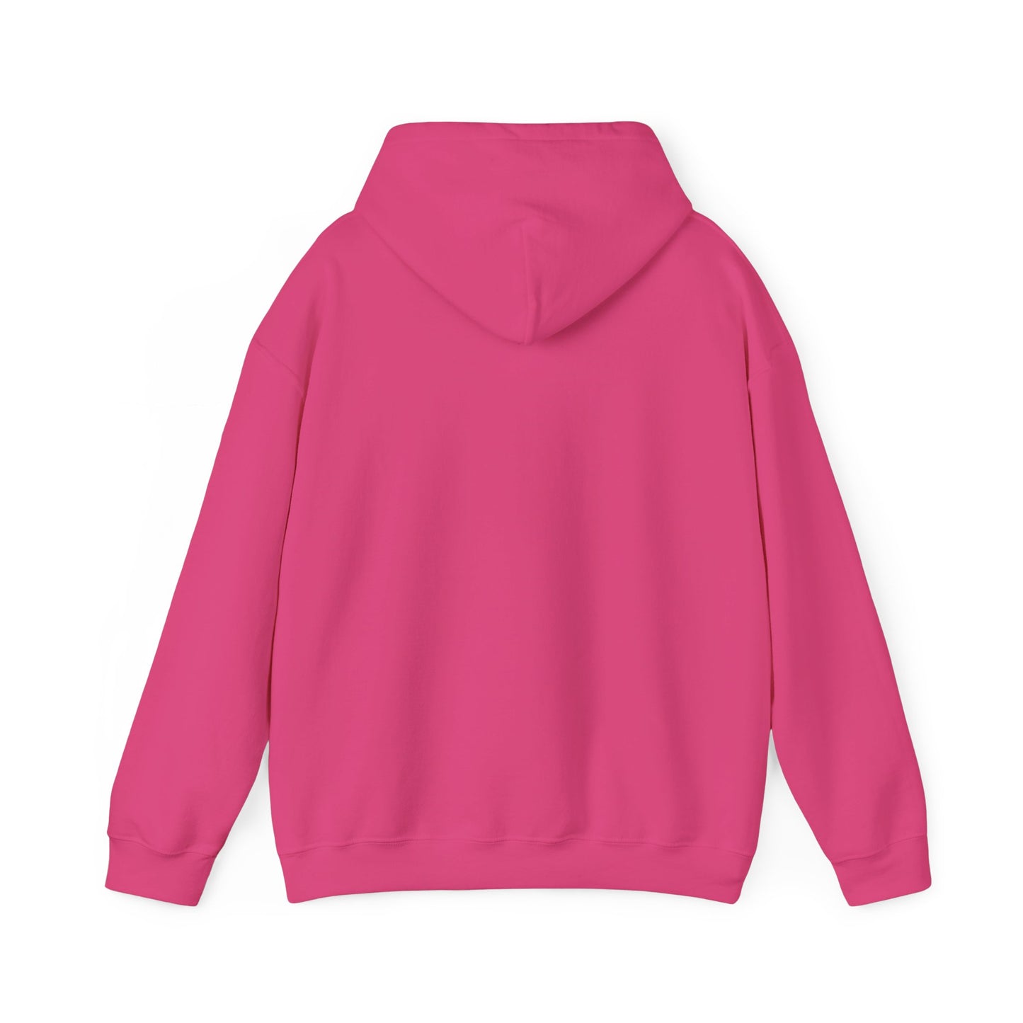 2024 SENTINELS HOODIE