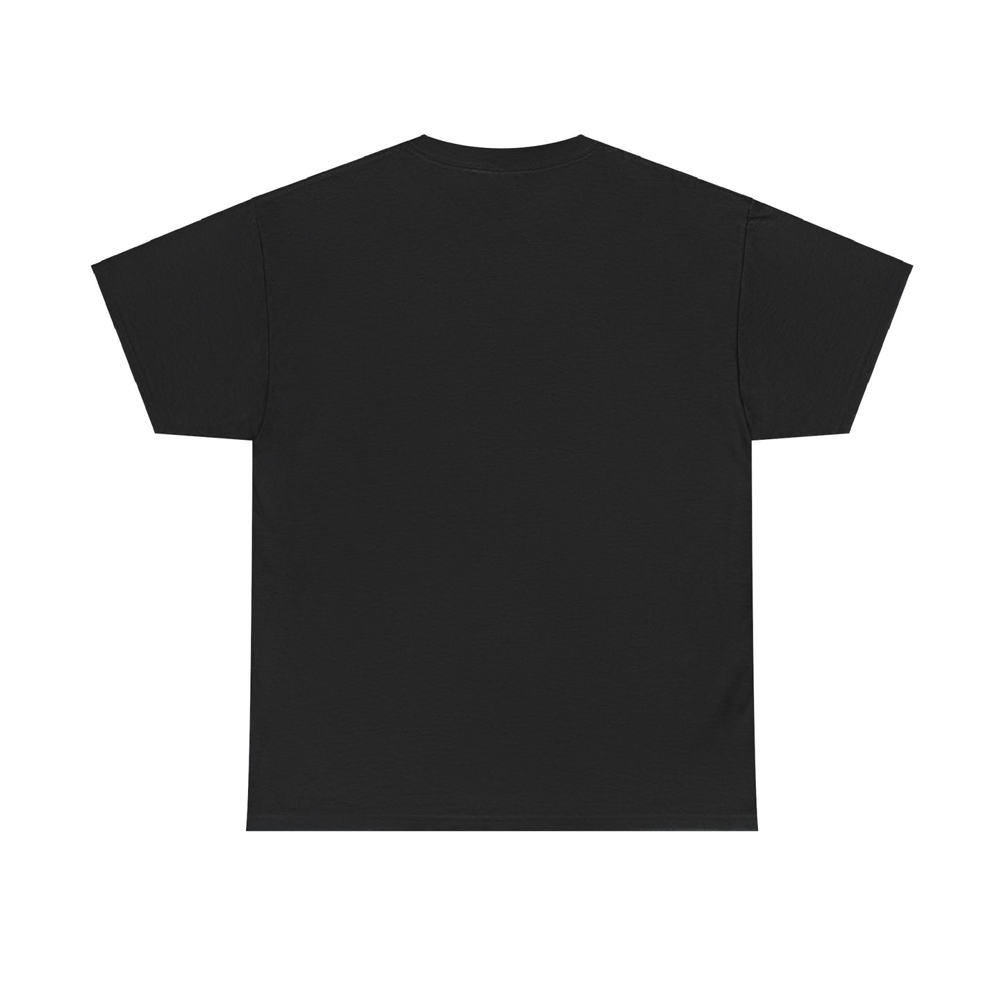 SENTINELS SWAY CITY T