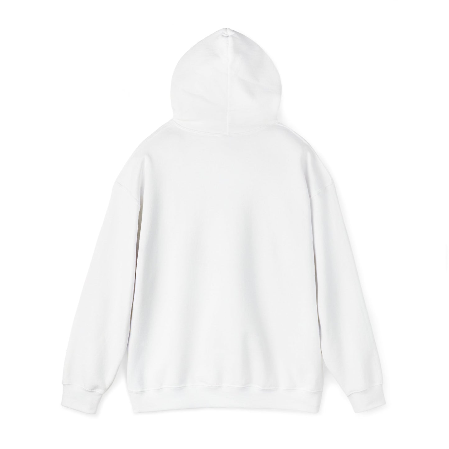 SENTINELS NOT LIKE US HOODIE