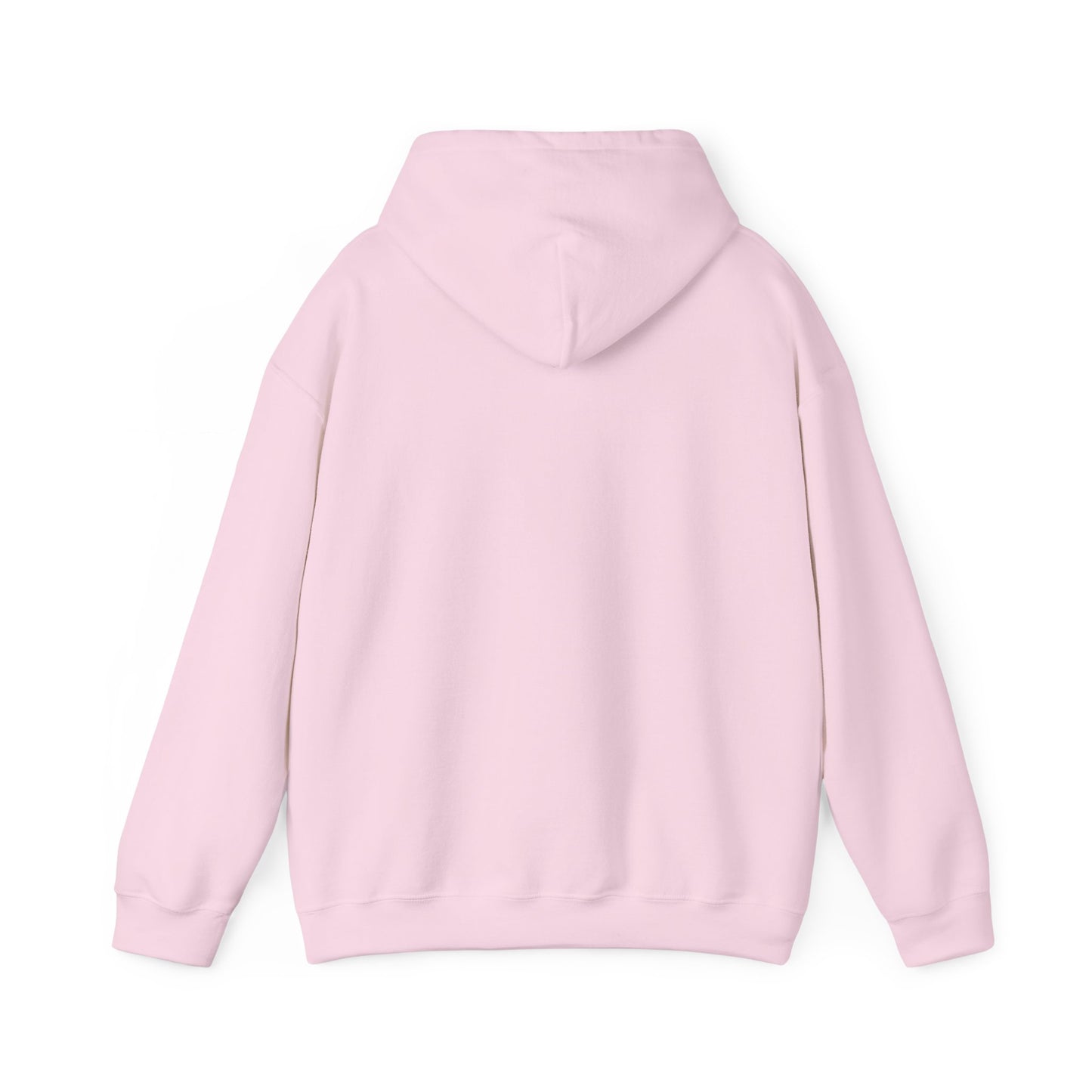 SENTINELS NOT LIKE US HOODIE