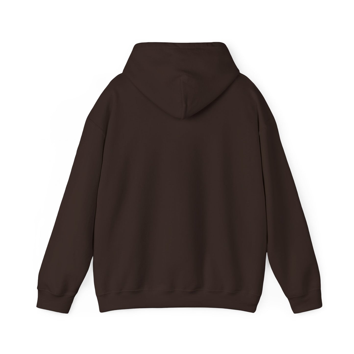 SENTINELS NOT LIKE US HOODIE